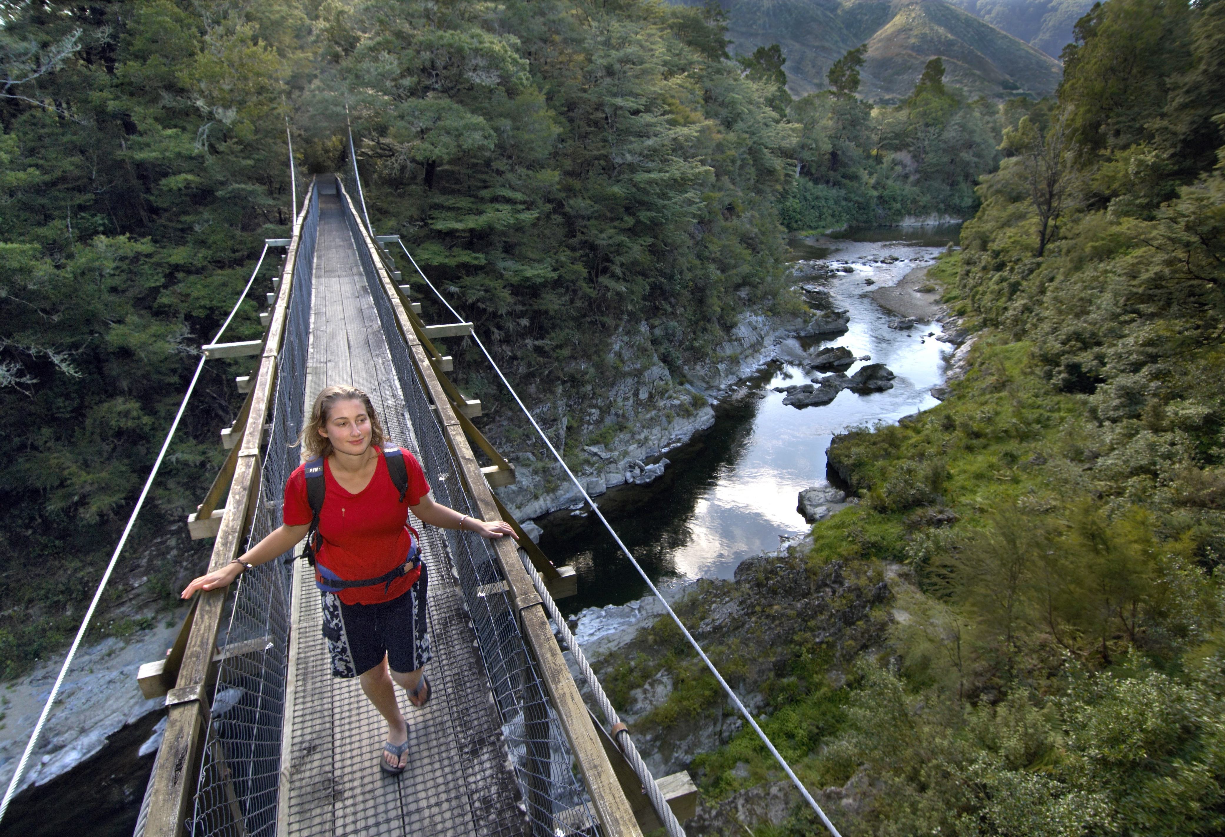 Wandelen in het Pelorus Bridge Scenic Reserve in Nieuw-Zeeland