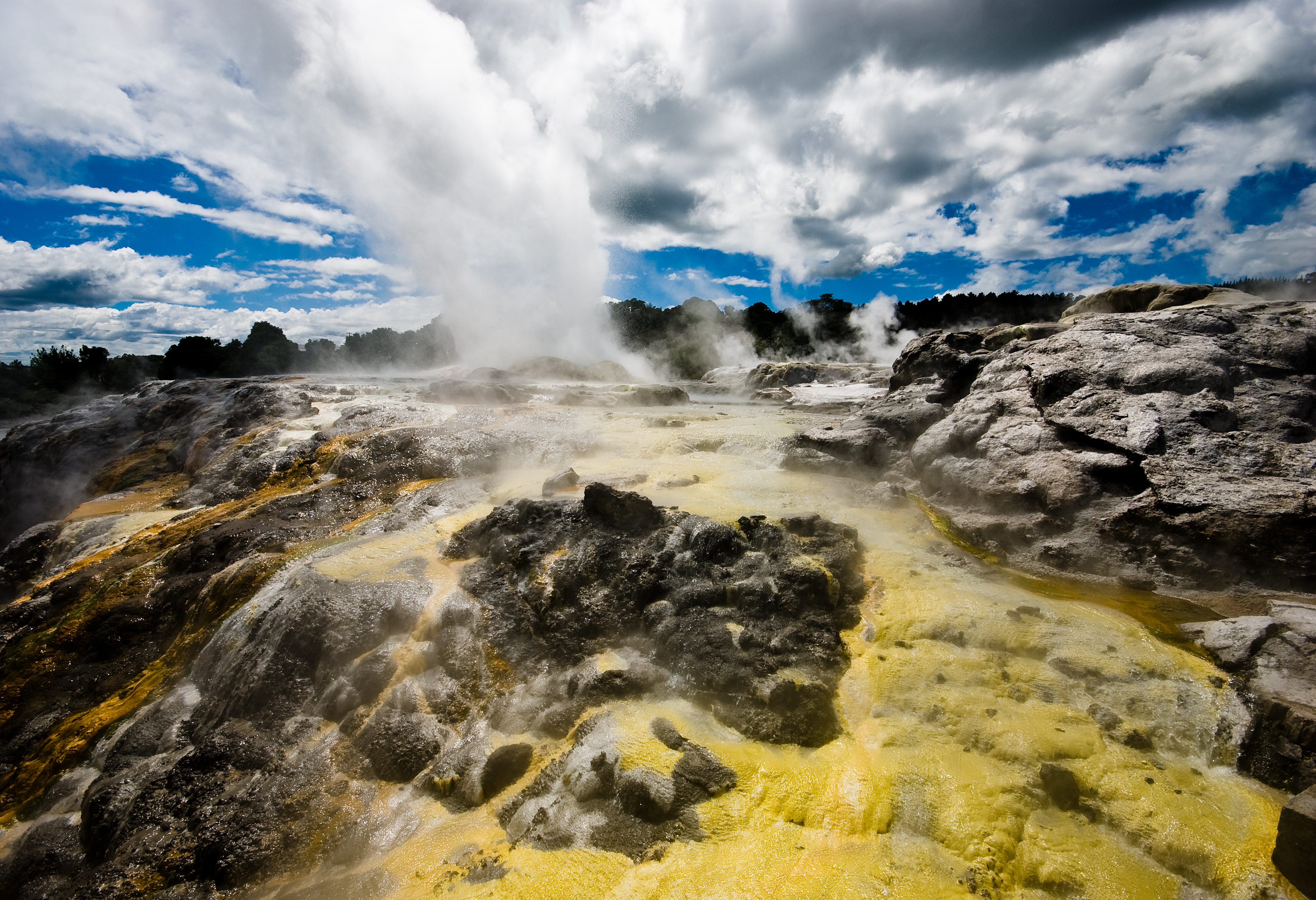 Te Puia geiser nabij Rotorua in Nieuw-Zeeland