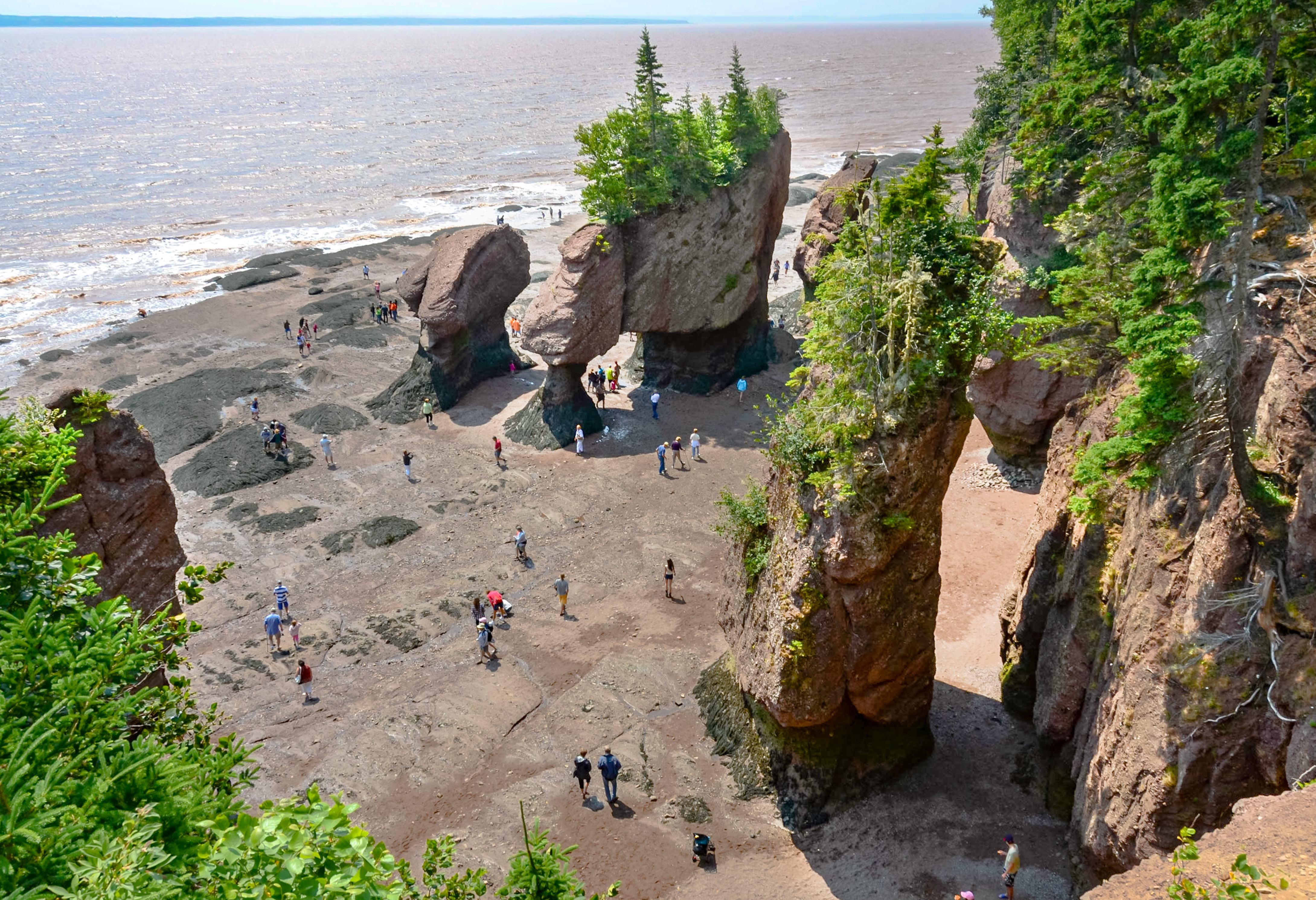 canada-new-brunswick-hopewell-rocks-provincial-park-bij-eb