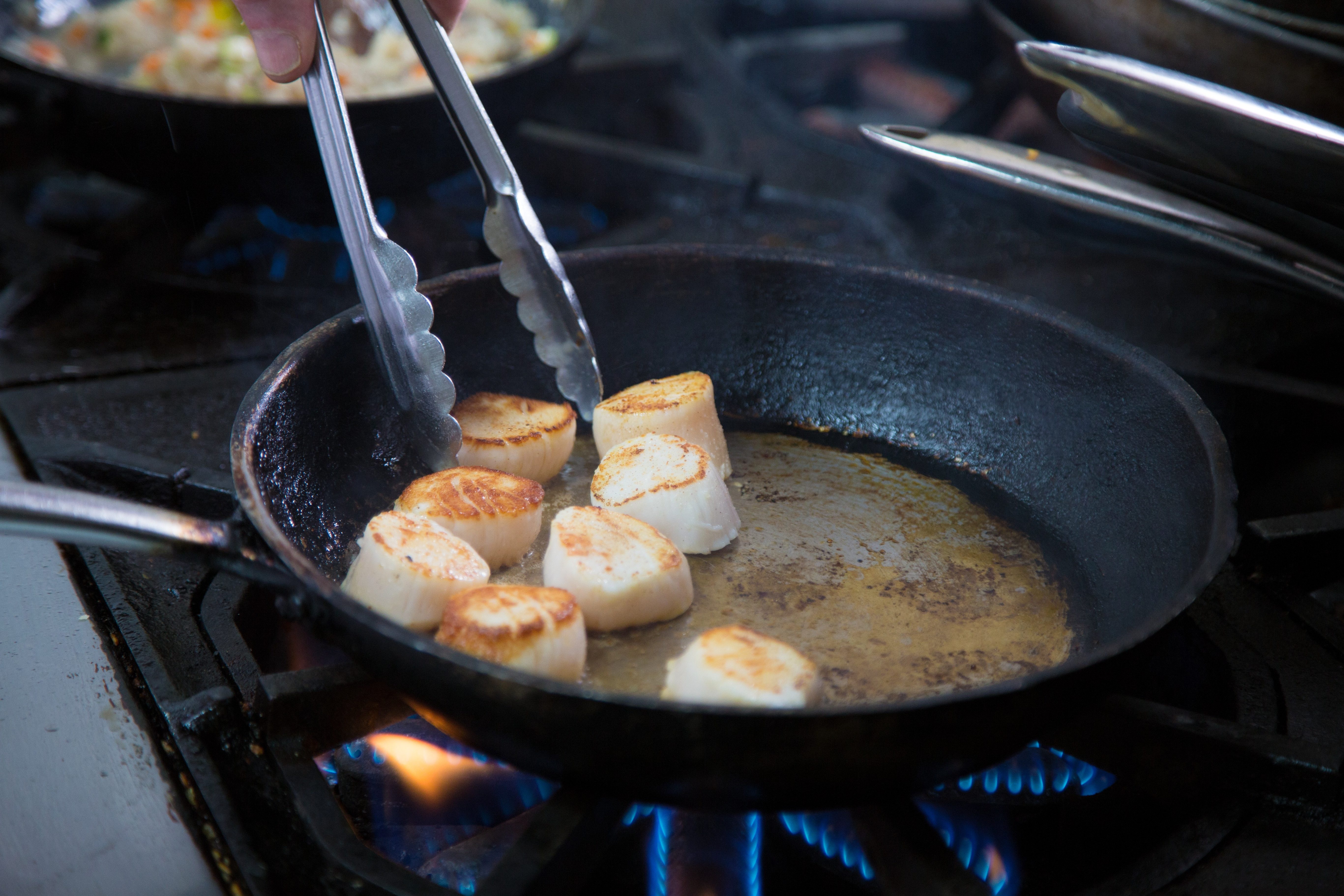 canada-nova-scotia-digby-scallops-coquilles-sint-jacob-schelpen