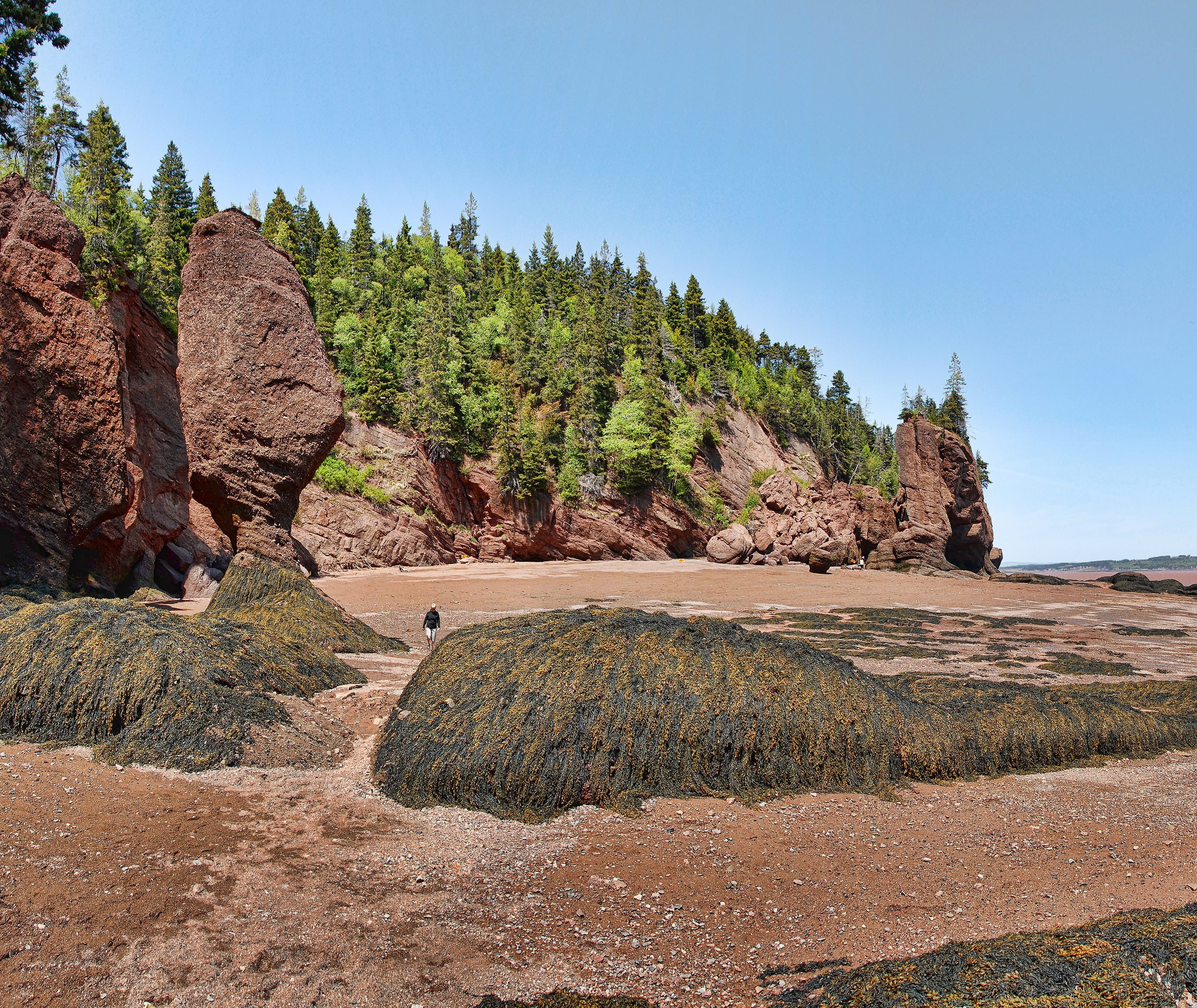 Hopewell Rocks Canada
