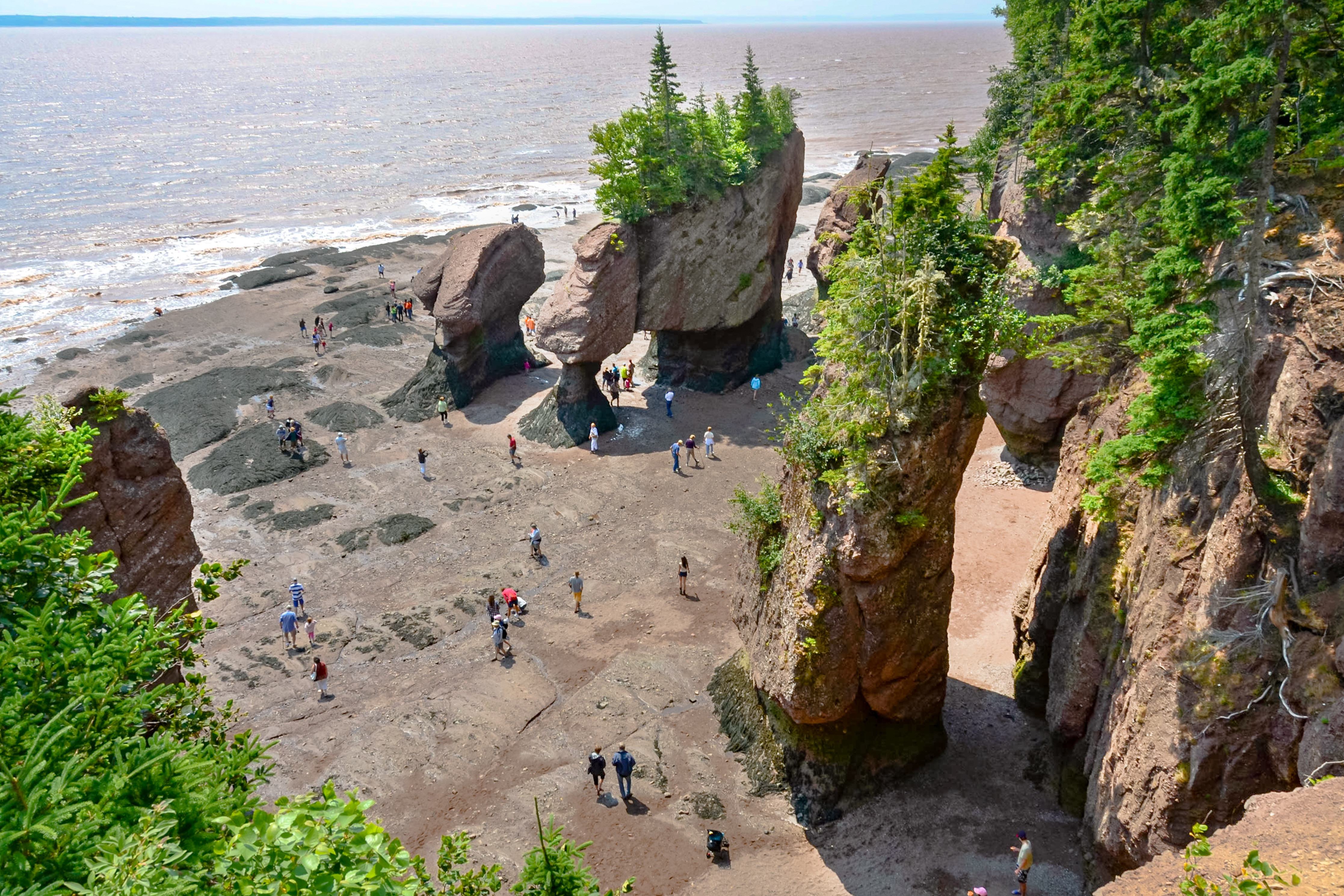 canada-new-brunswick-hopewell-rocks-provincial-park-bij-eb