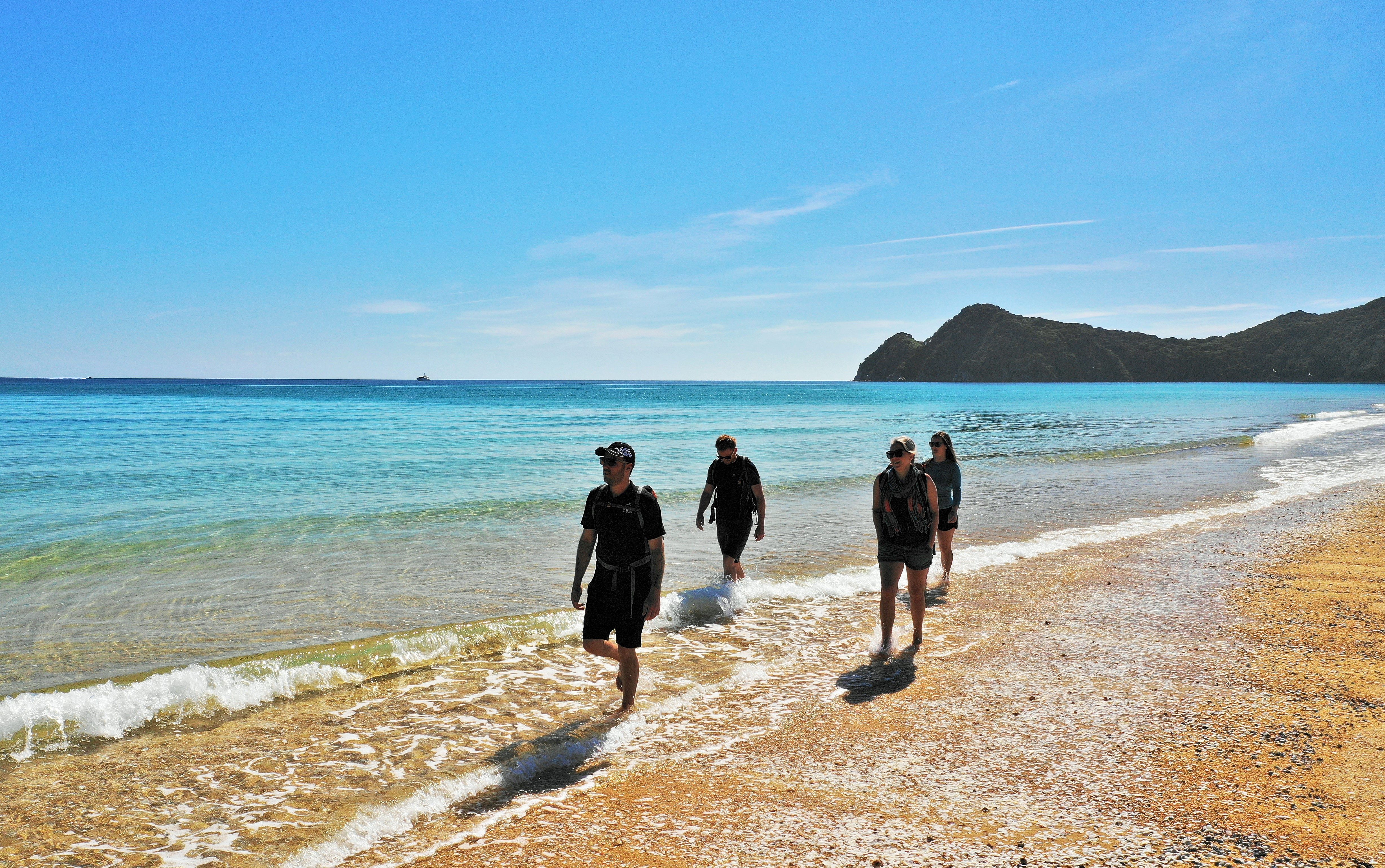 Wandel de Abel Tasman Coast track en geniet van het uitzicht in Nieuw-Zeeland