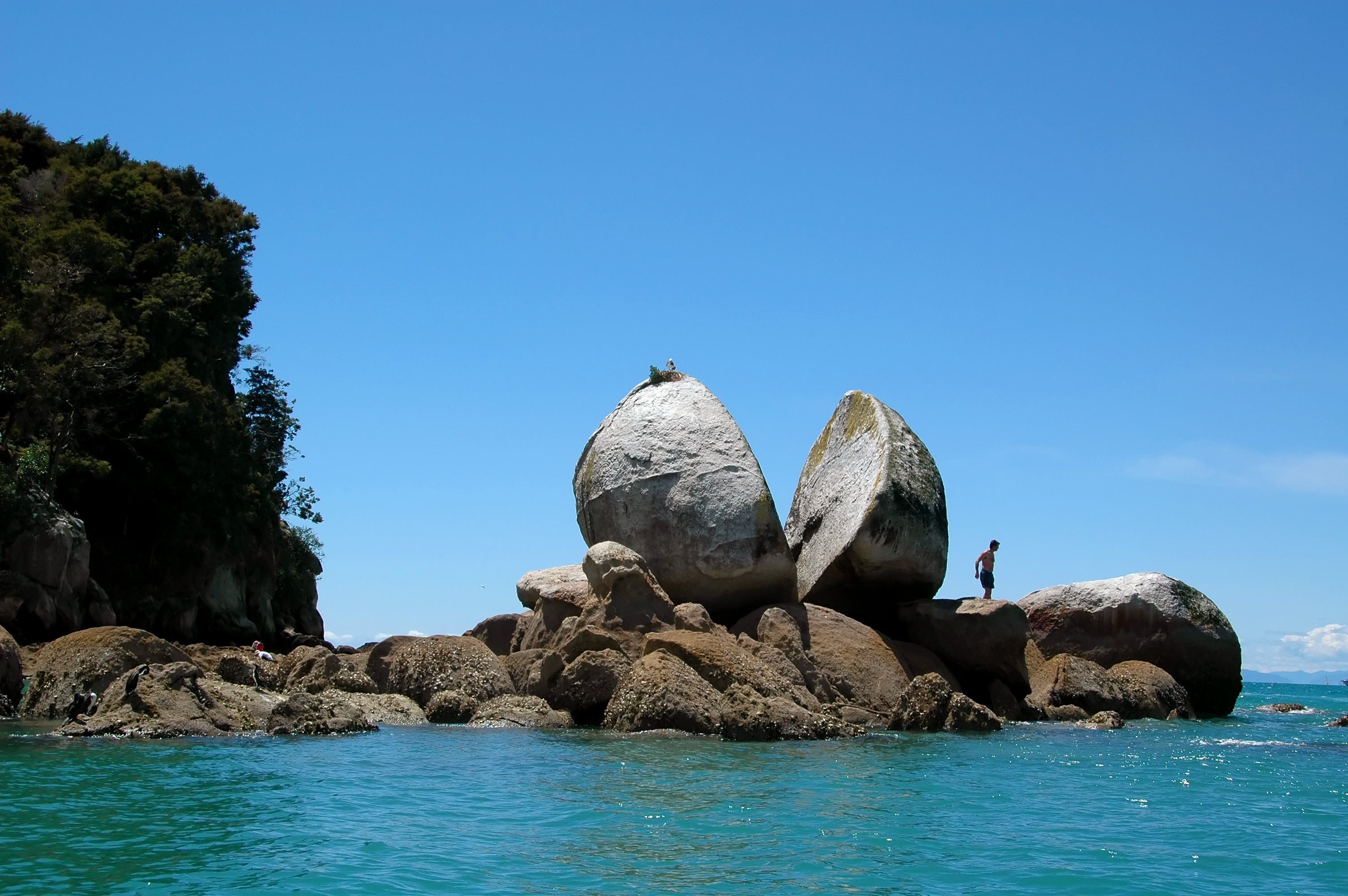 Split Apple Rock in Abel Tasman National Park, Nieuw-Zeeland