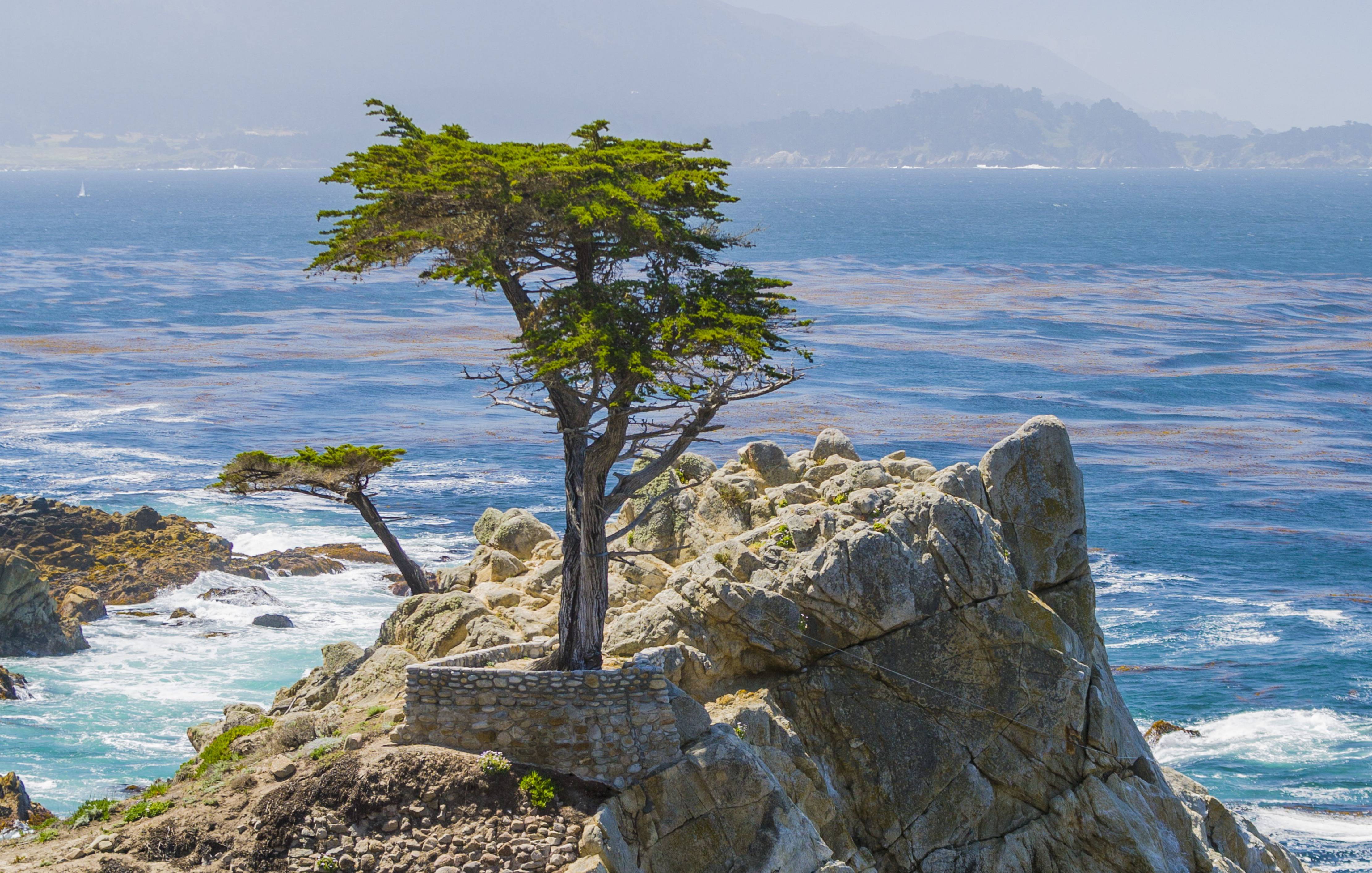 Het schiereiland Carmel by the Sea in West-Amerika