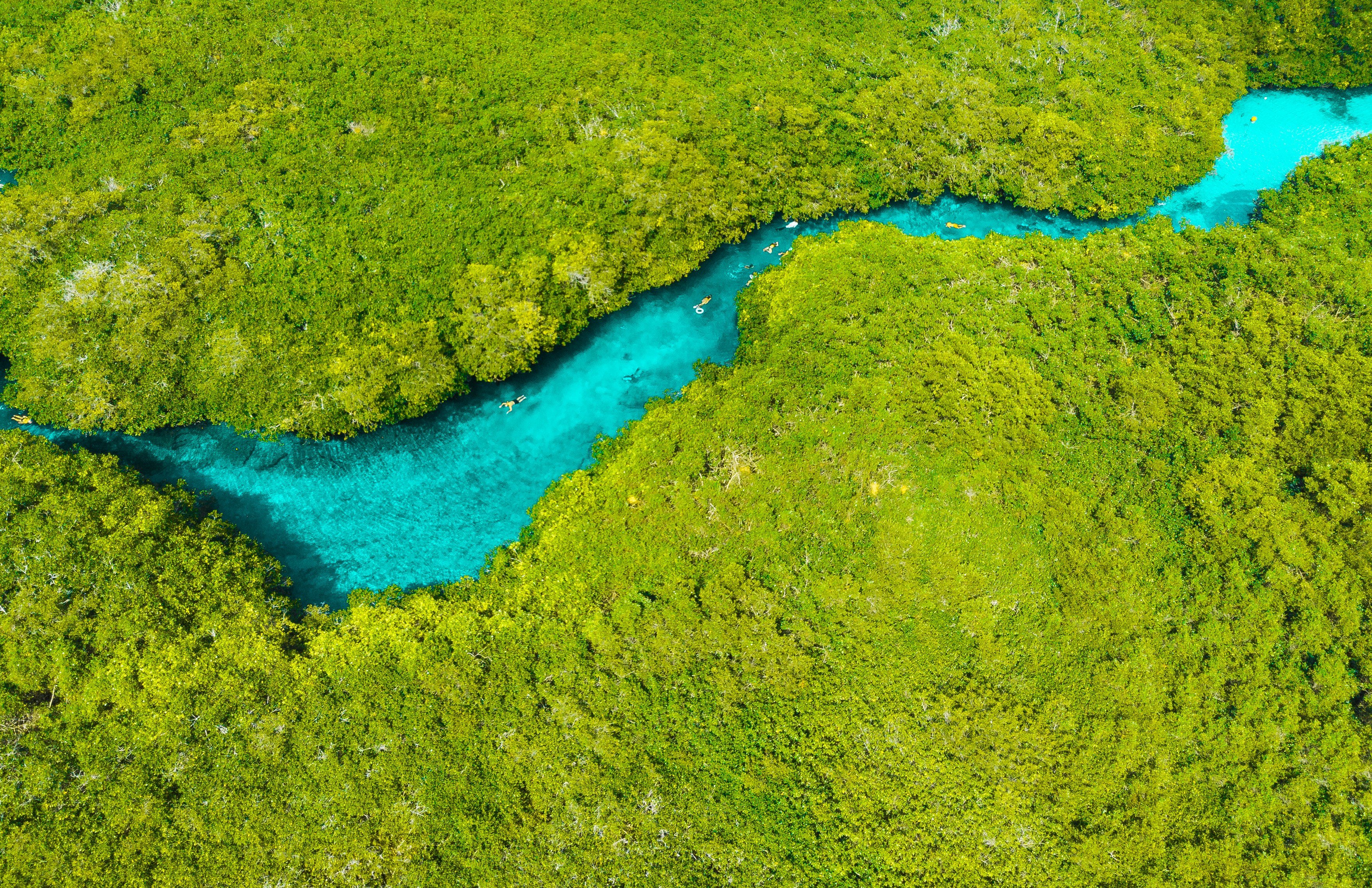 Casa Cenote in Tulum, Mexico