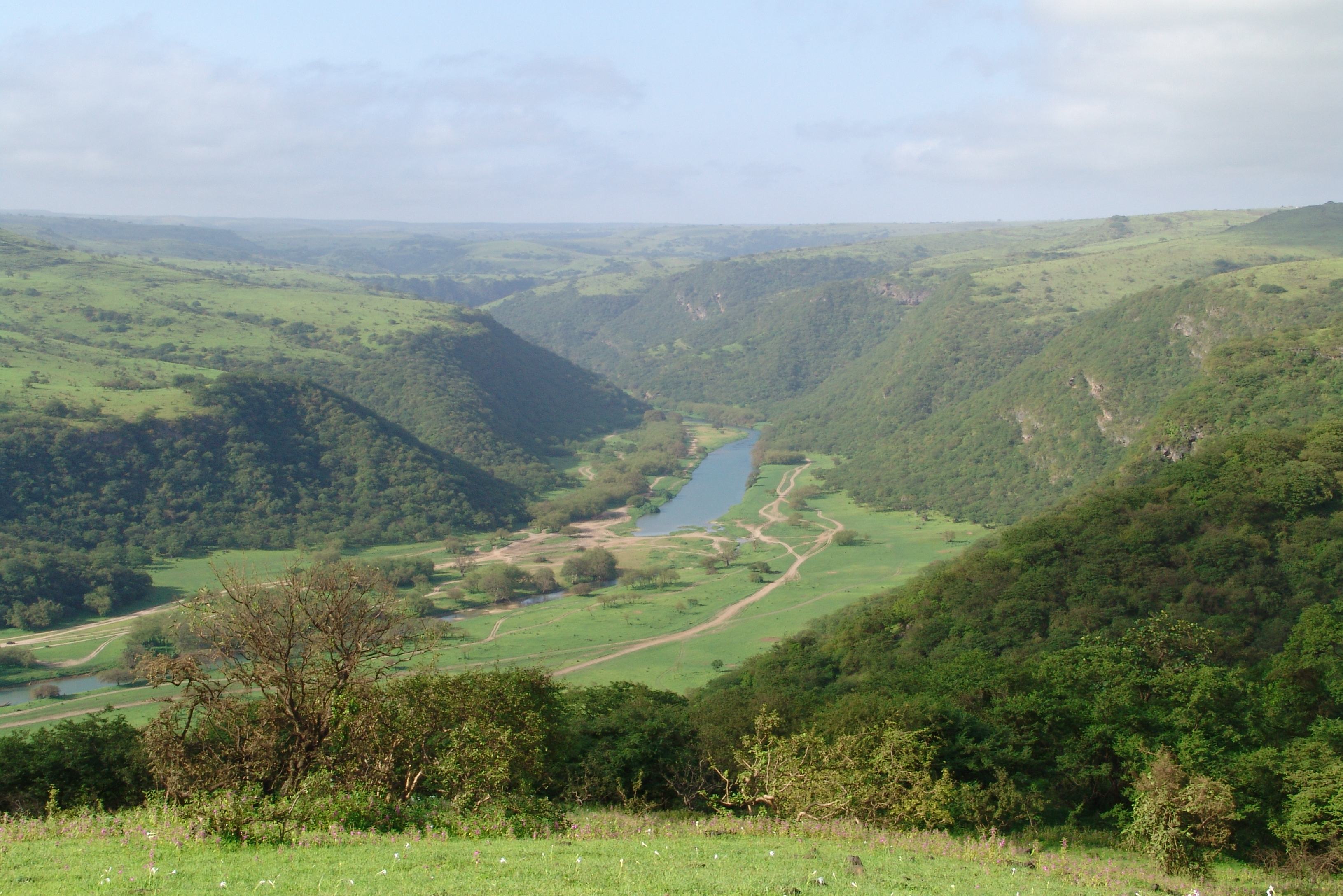 Oman Dhofar Salalah Dalkout safari
