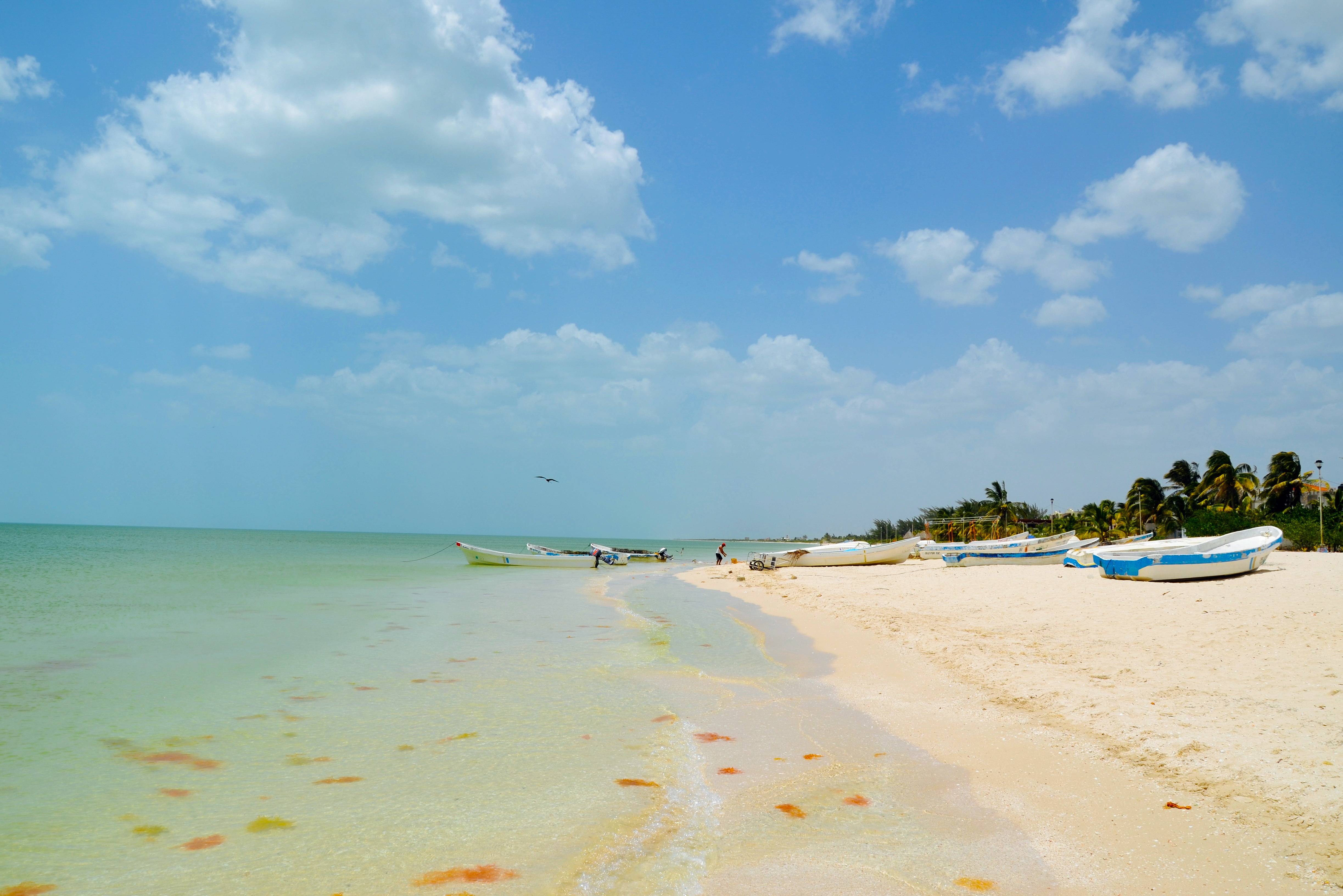 Verlaten strand bij Celestun in Mexico