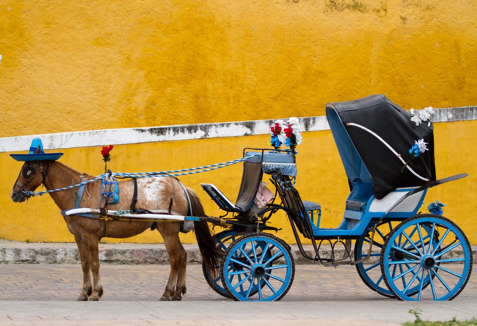 Paardenkoets in Izamal in Yucatan