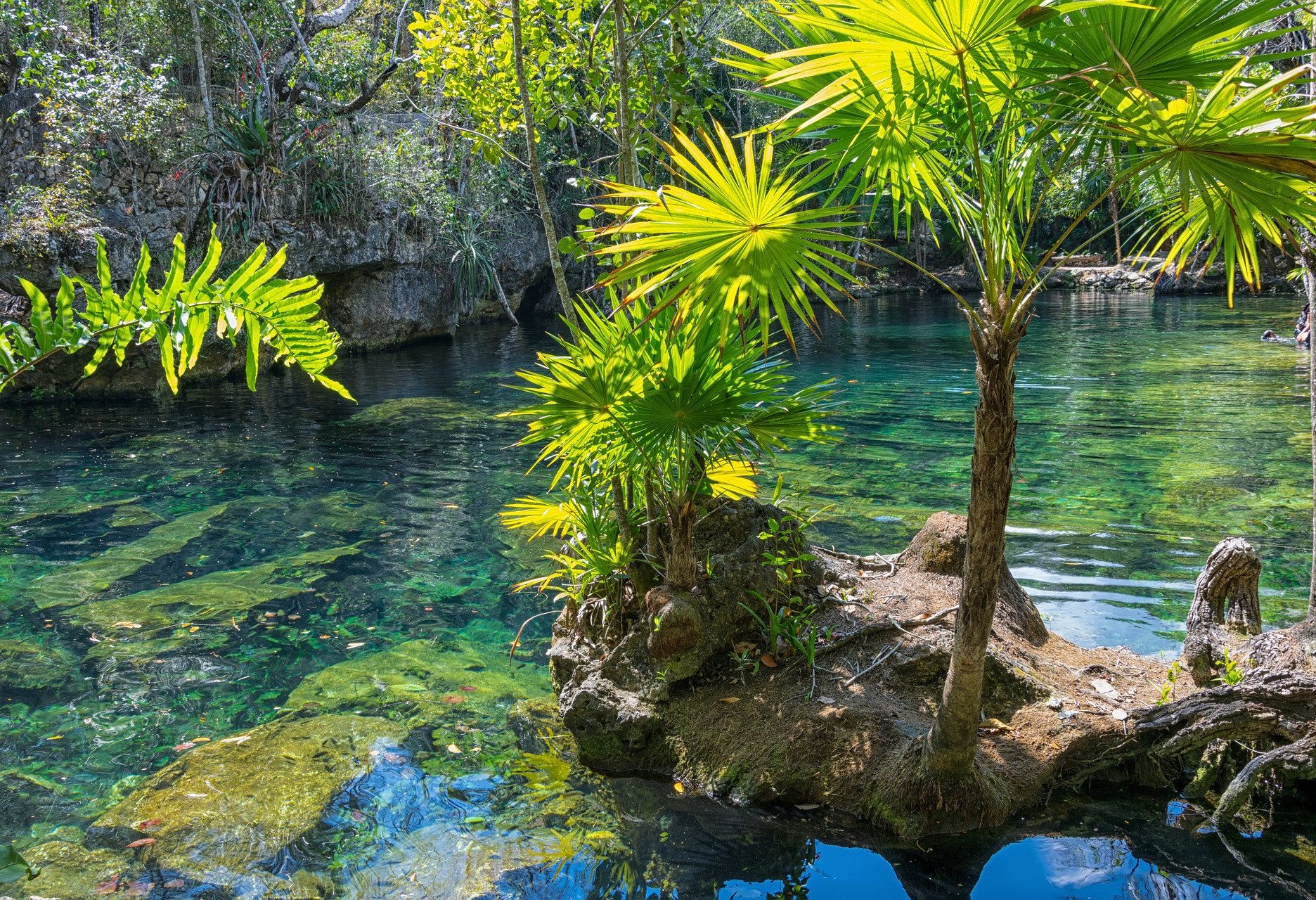 Cenote in Yucatan
