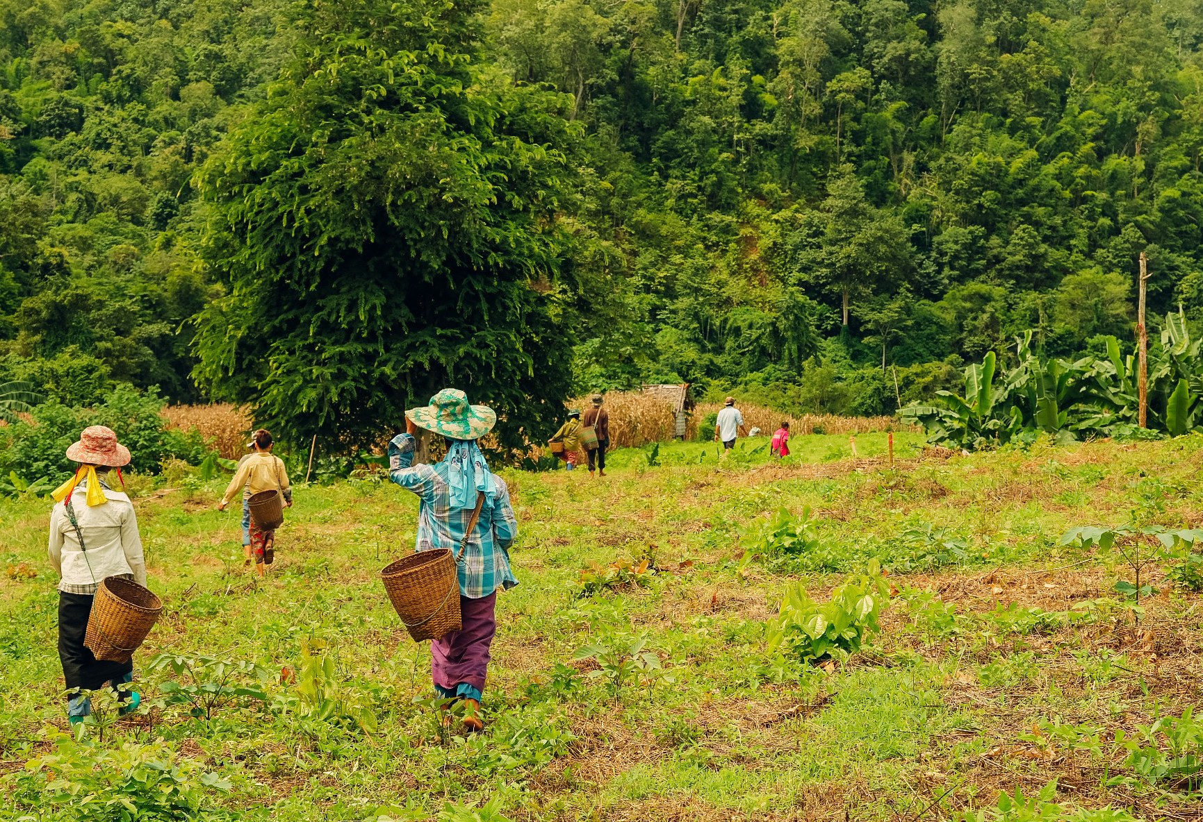 Thailand Huay Pu Keng activiteit Kayan bevolking