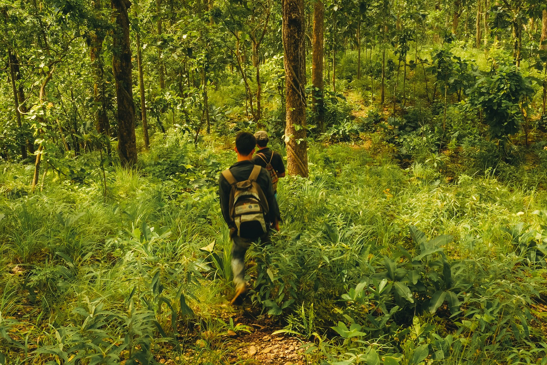 Thailand Huay Pu Keng activiteit Kayan bevolking