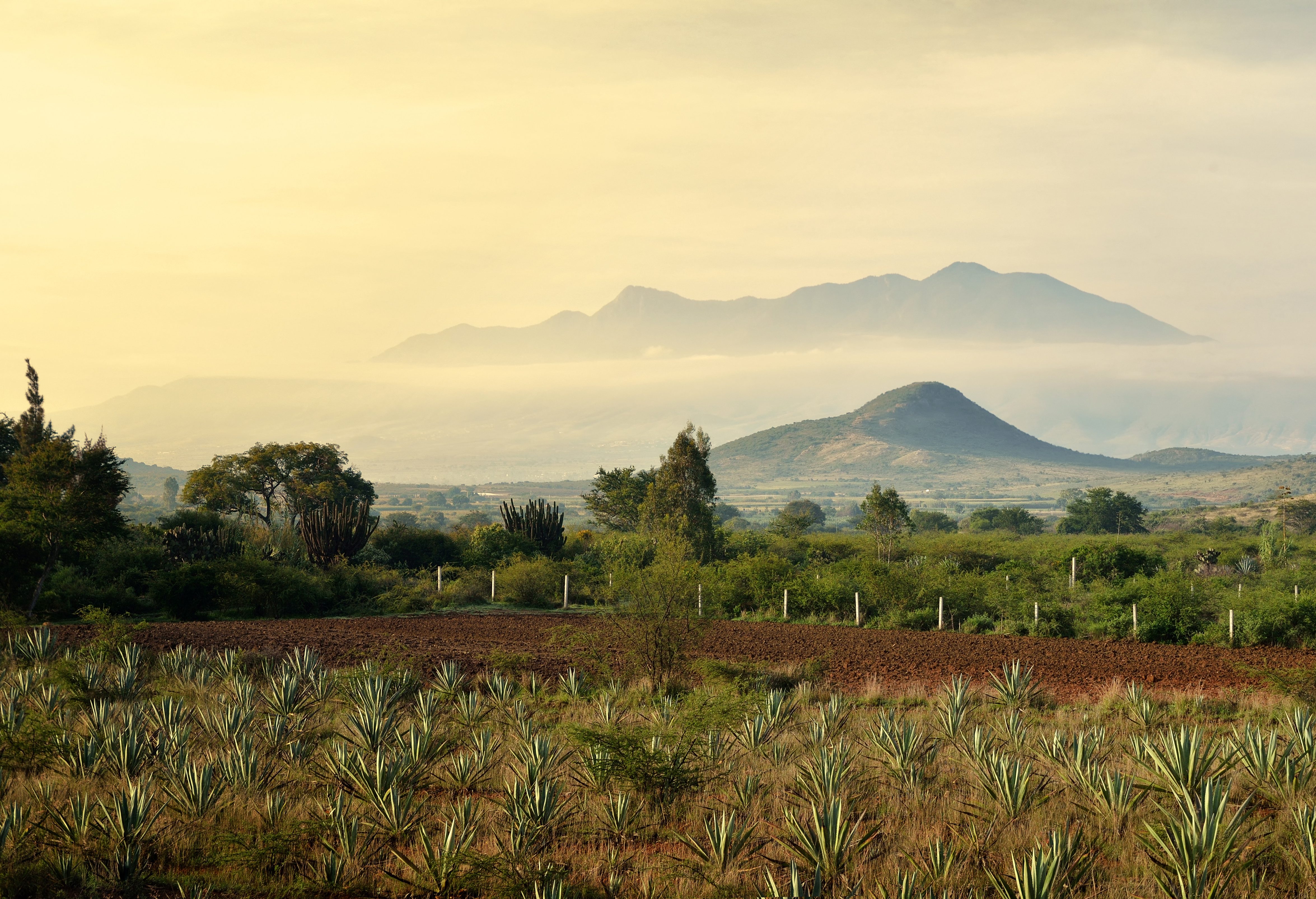 Landelijke omgeving bij Oaxaca in Yucatan
