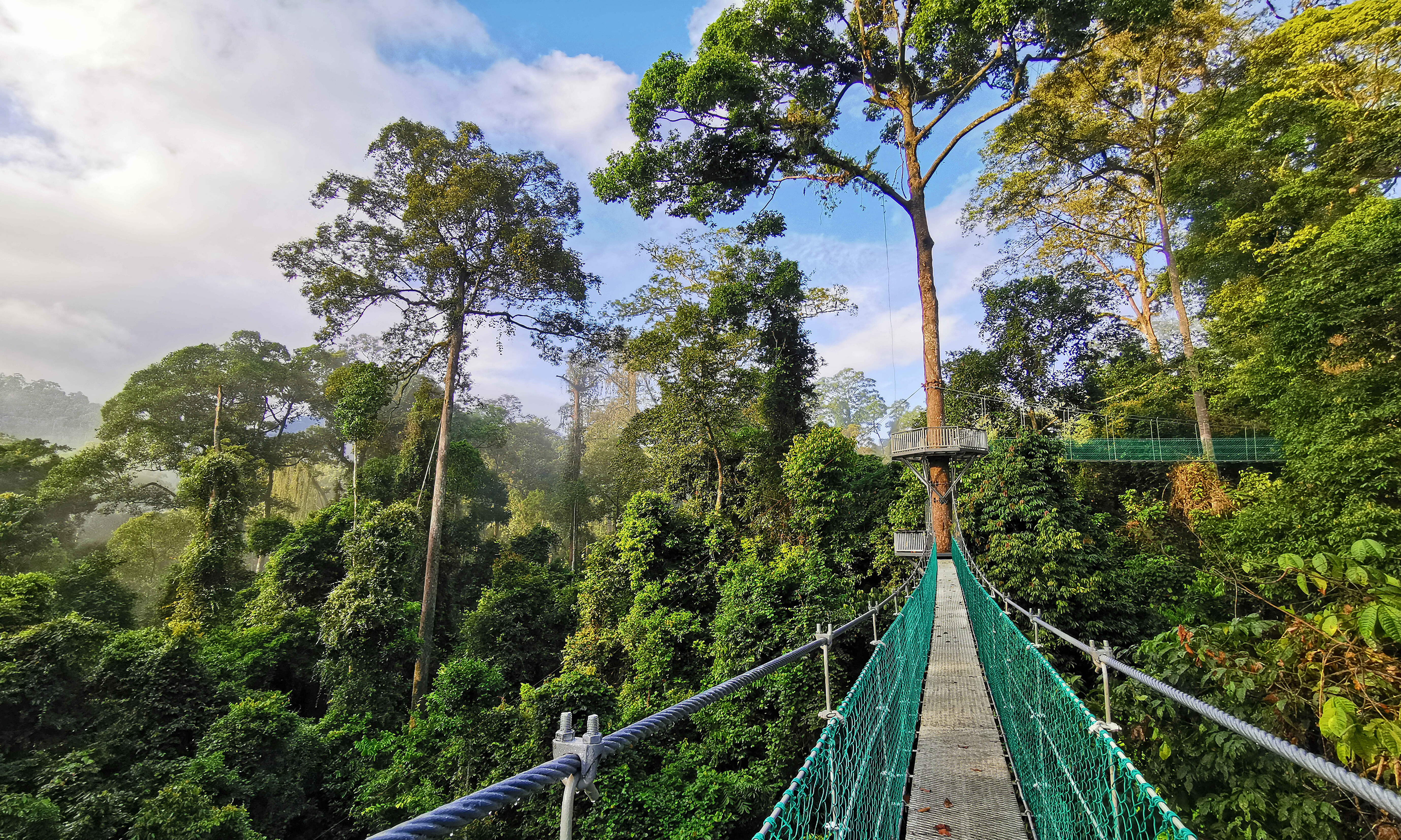 Danum Valley