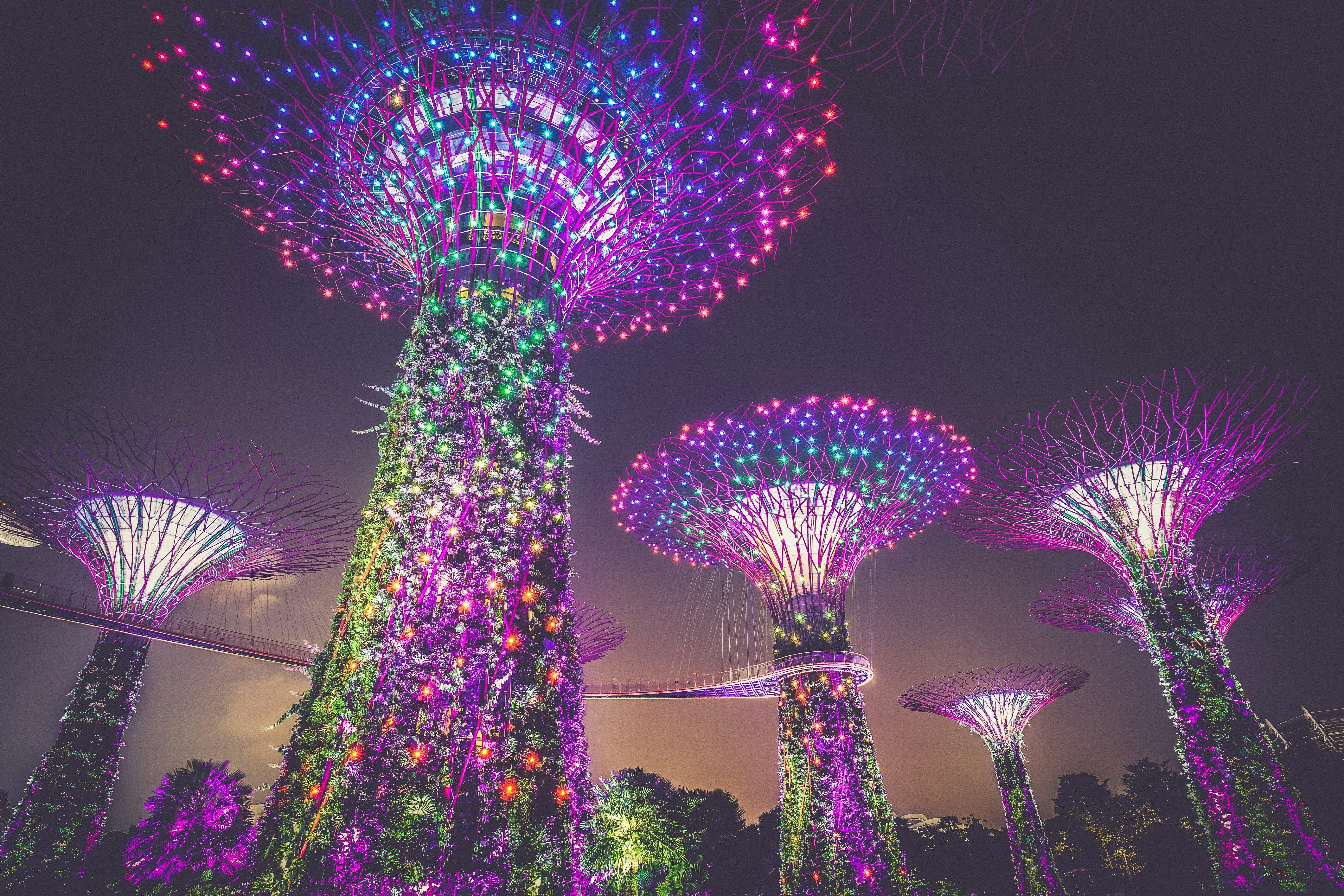 Gardens by the bay