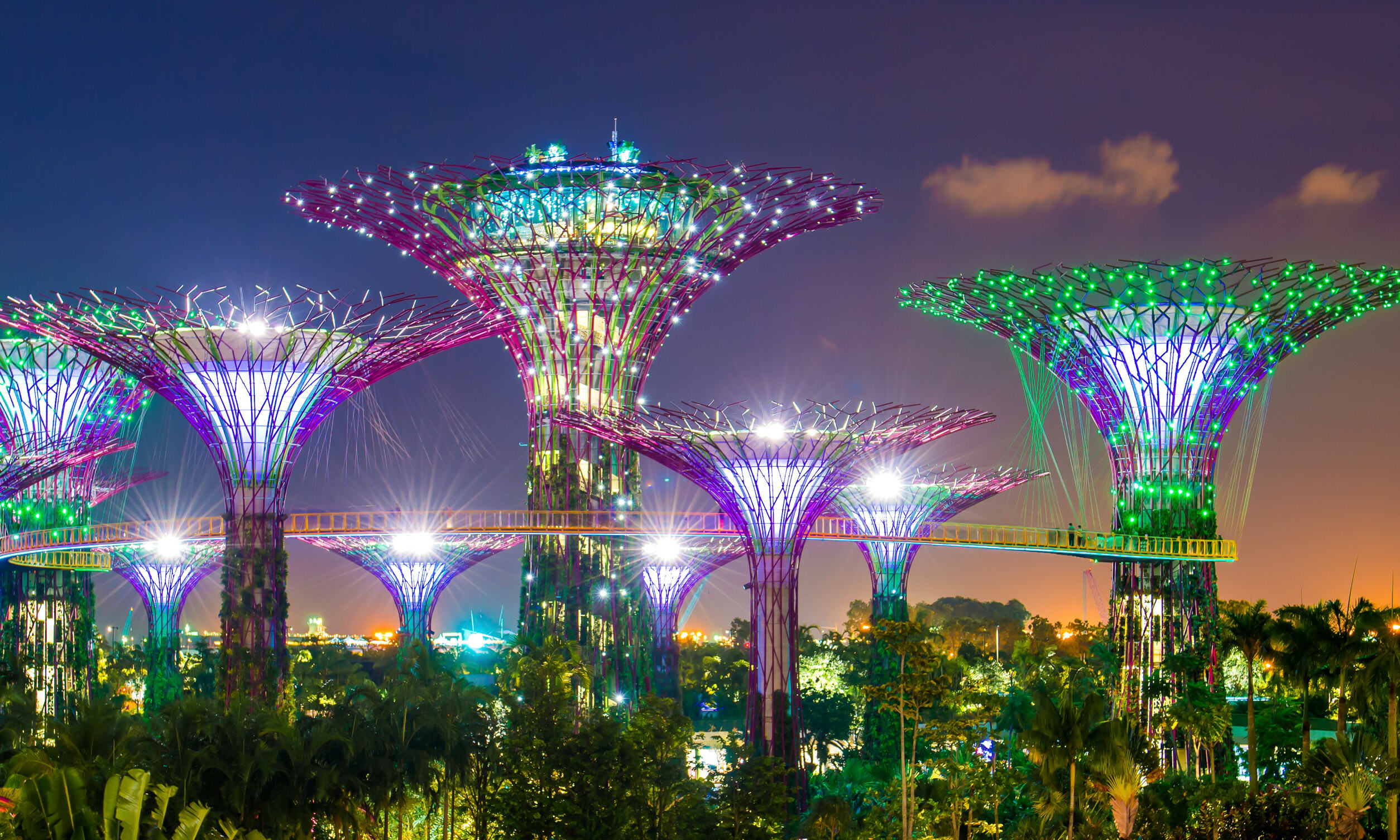 Gardens by the bay