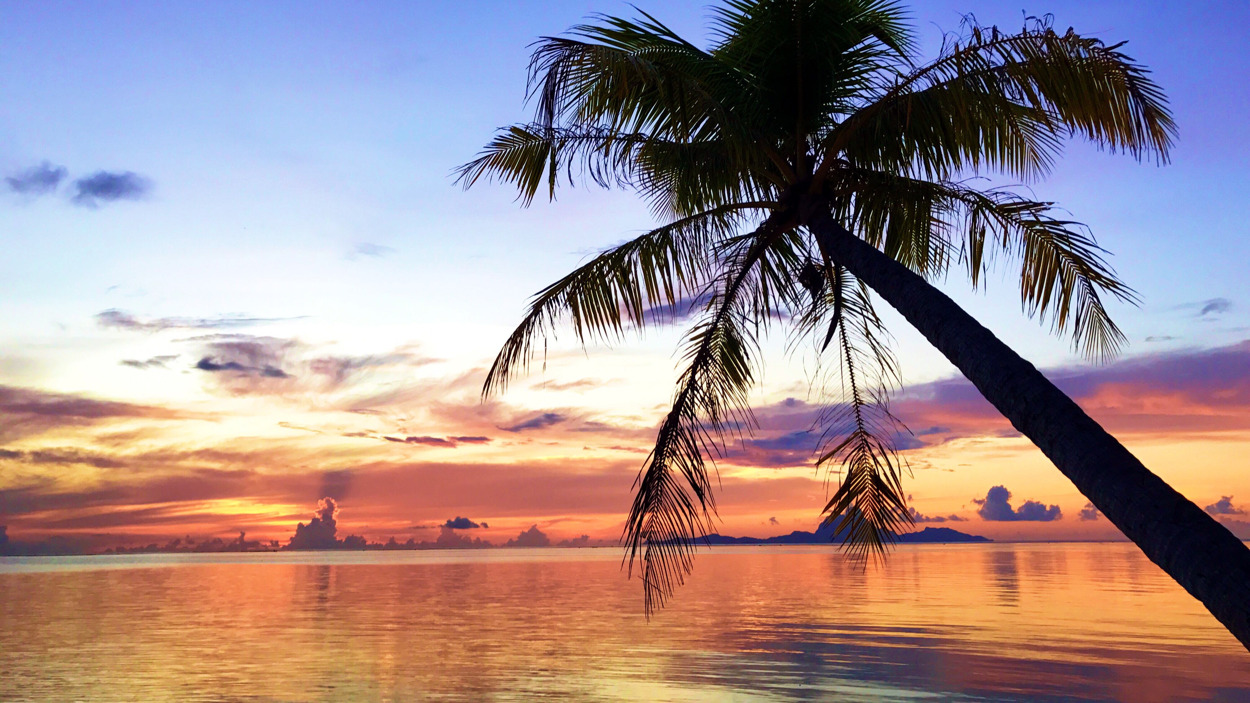 Sunset Cruise Frans Polynesië