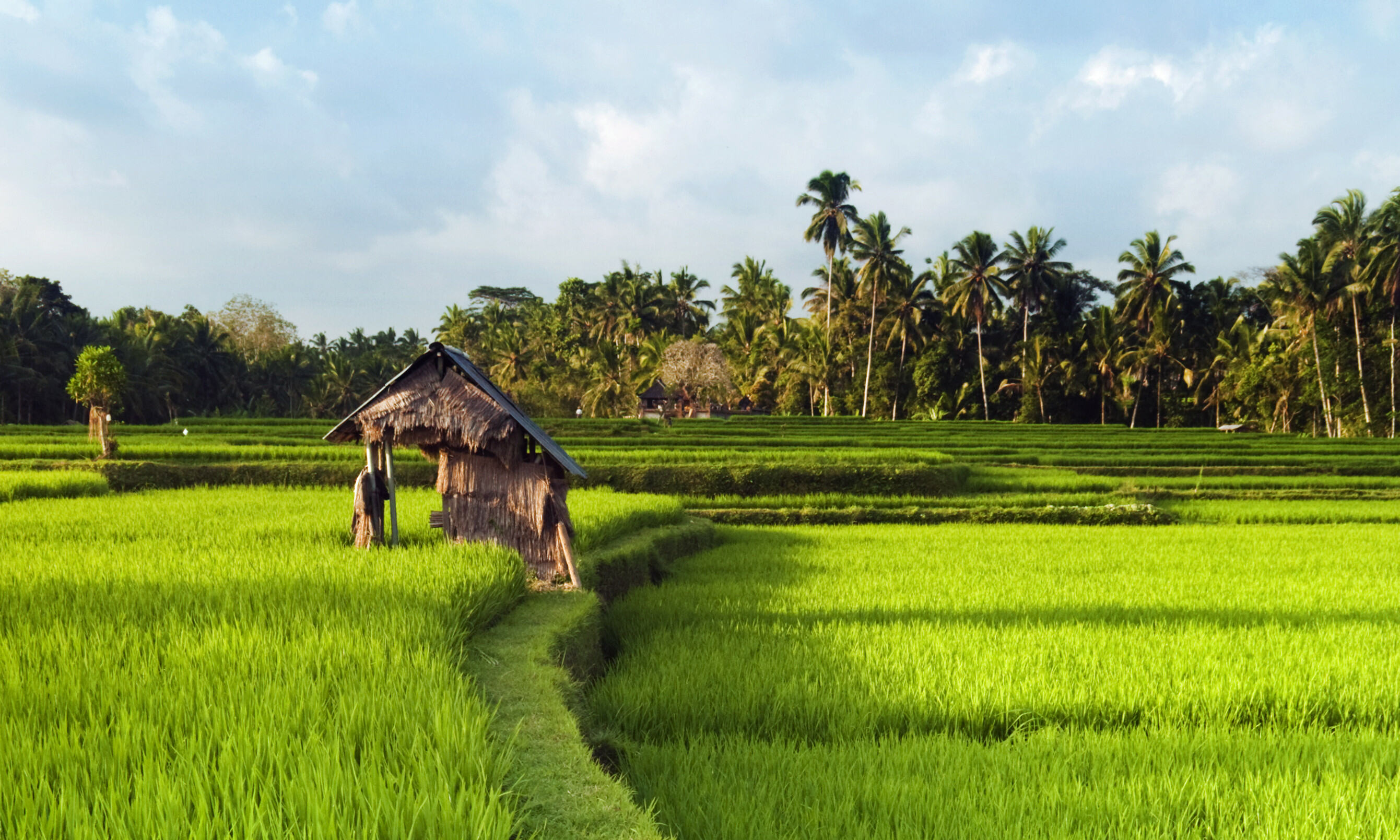 Ubud Bali