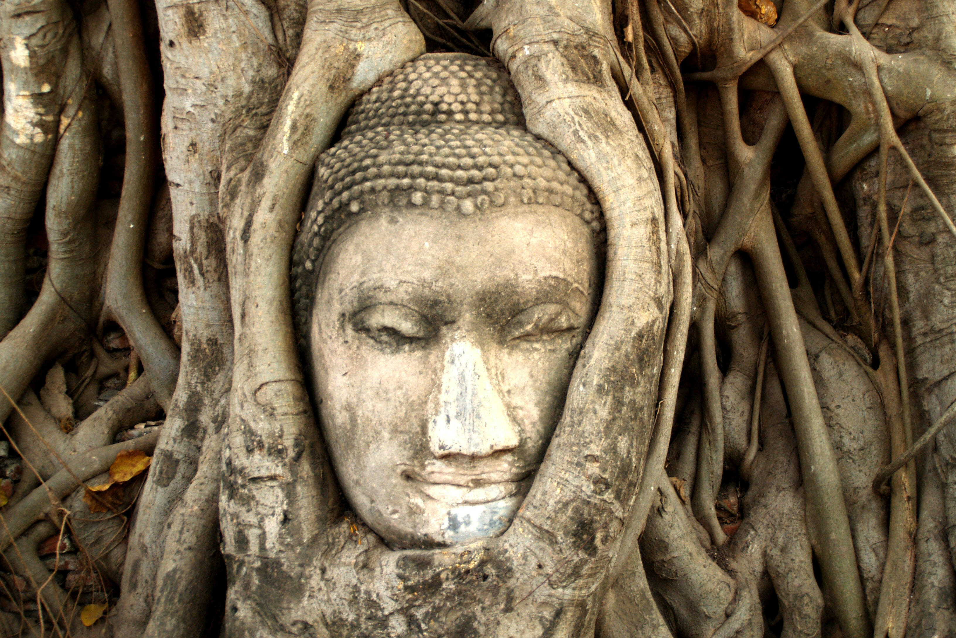 Wat Mahathat Ayutthaya