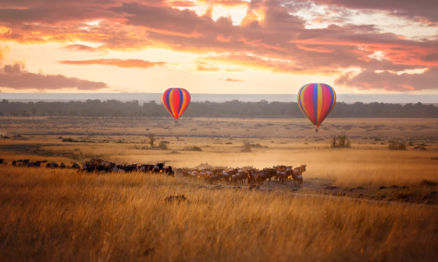 Serengeti