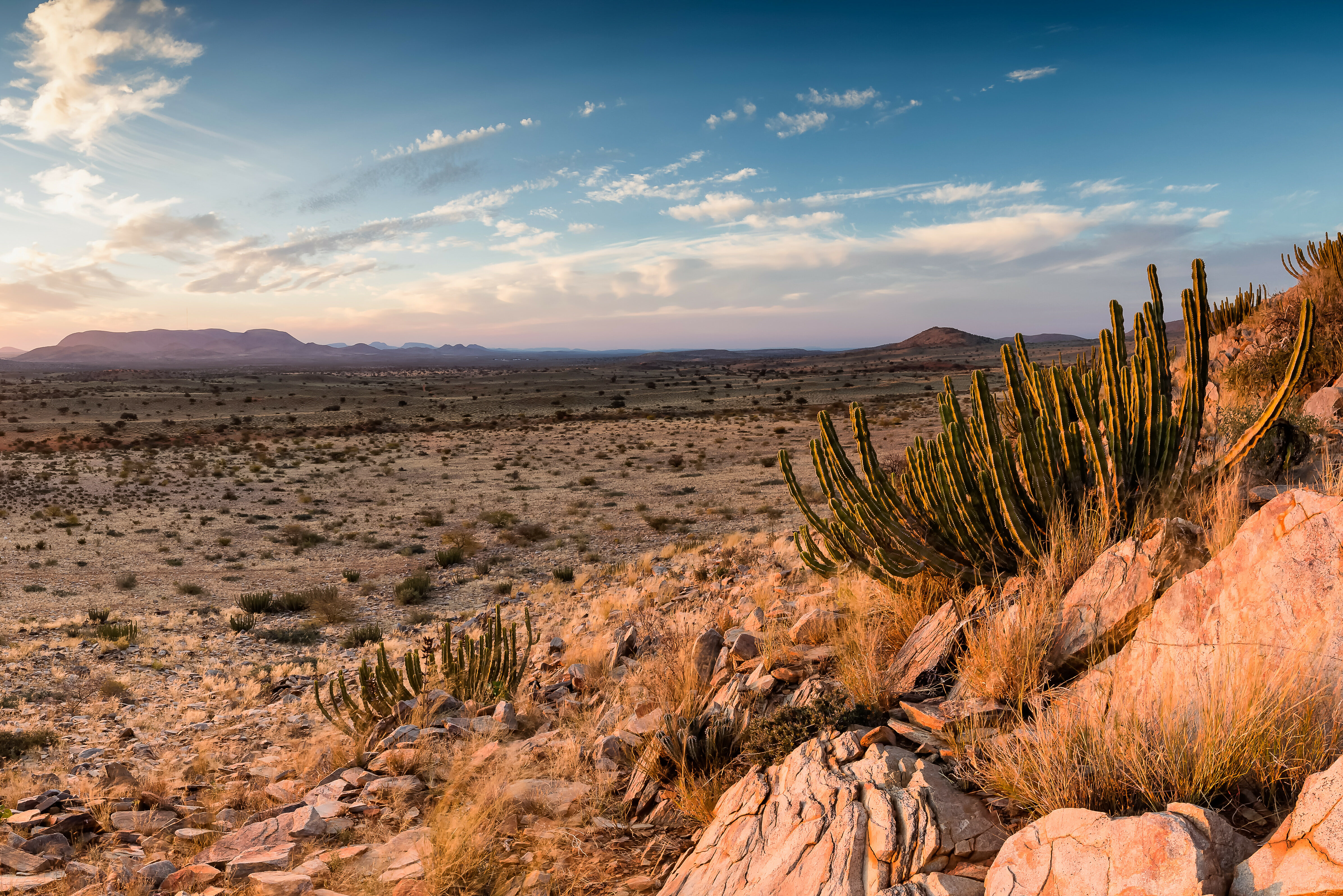 Namibie Kalahari woestijn