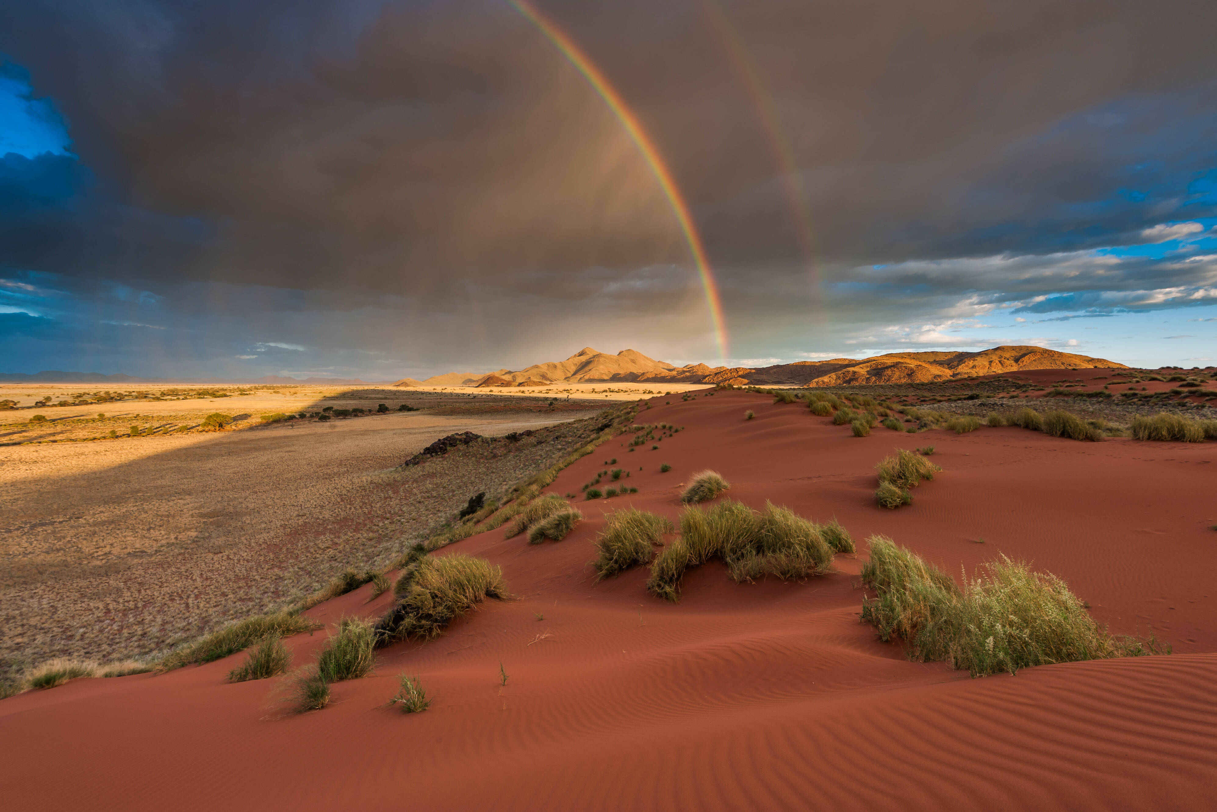 Storm Kalahari Namibië