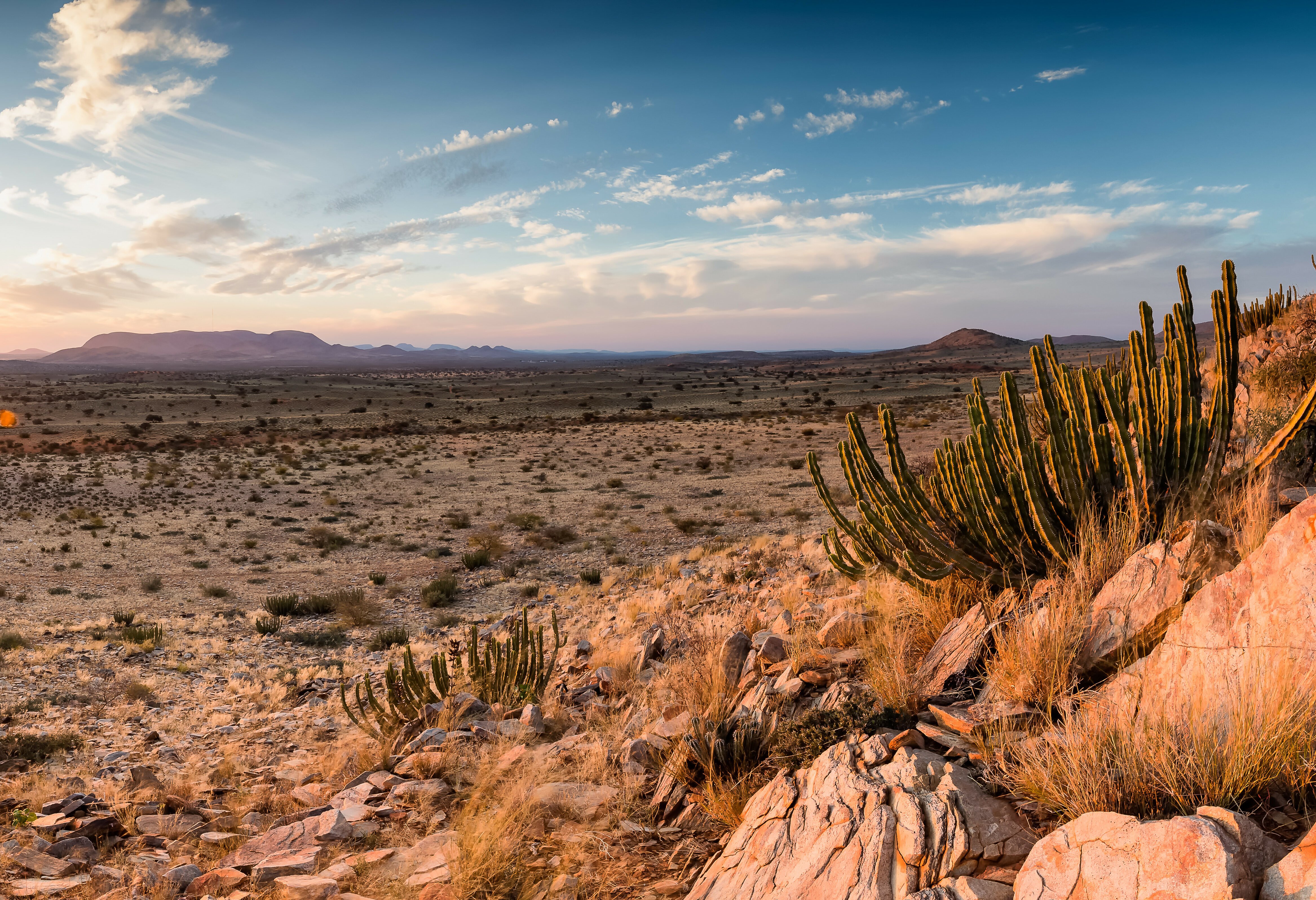 Namibie Kalahari Woestijn landschap