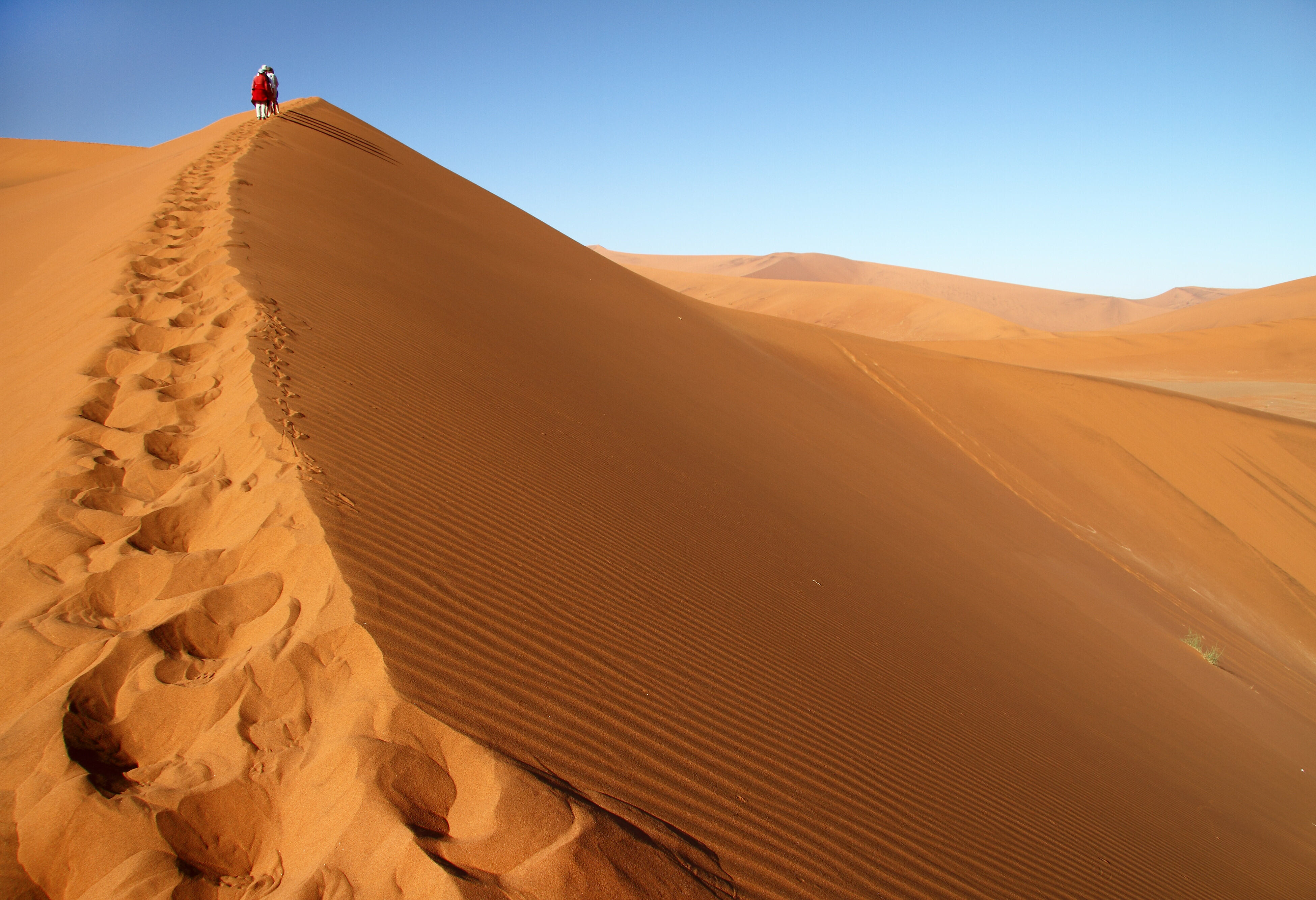 Namibie Sossusvlei Rode Duinen