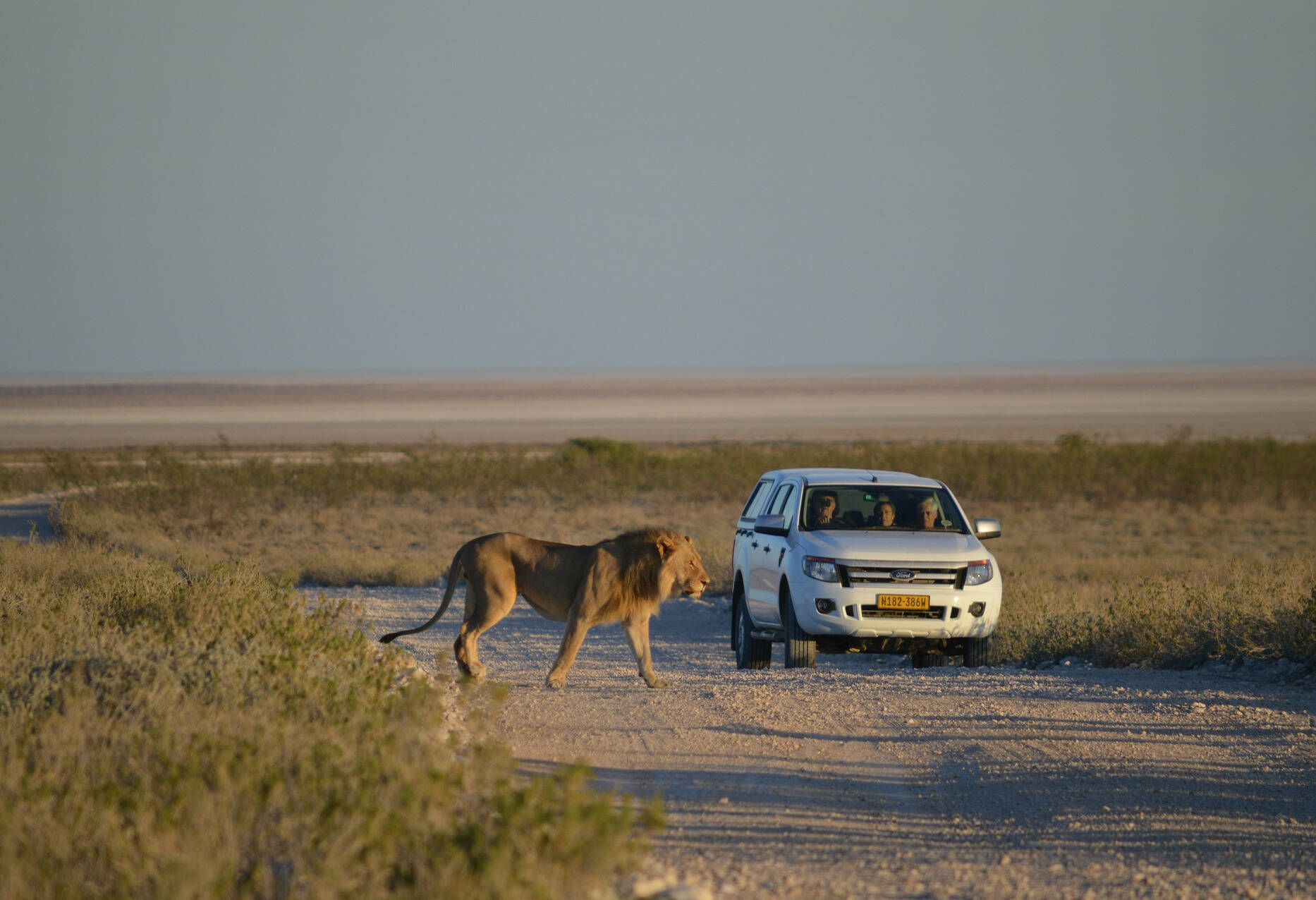 Namibie Etosha National Park