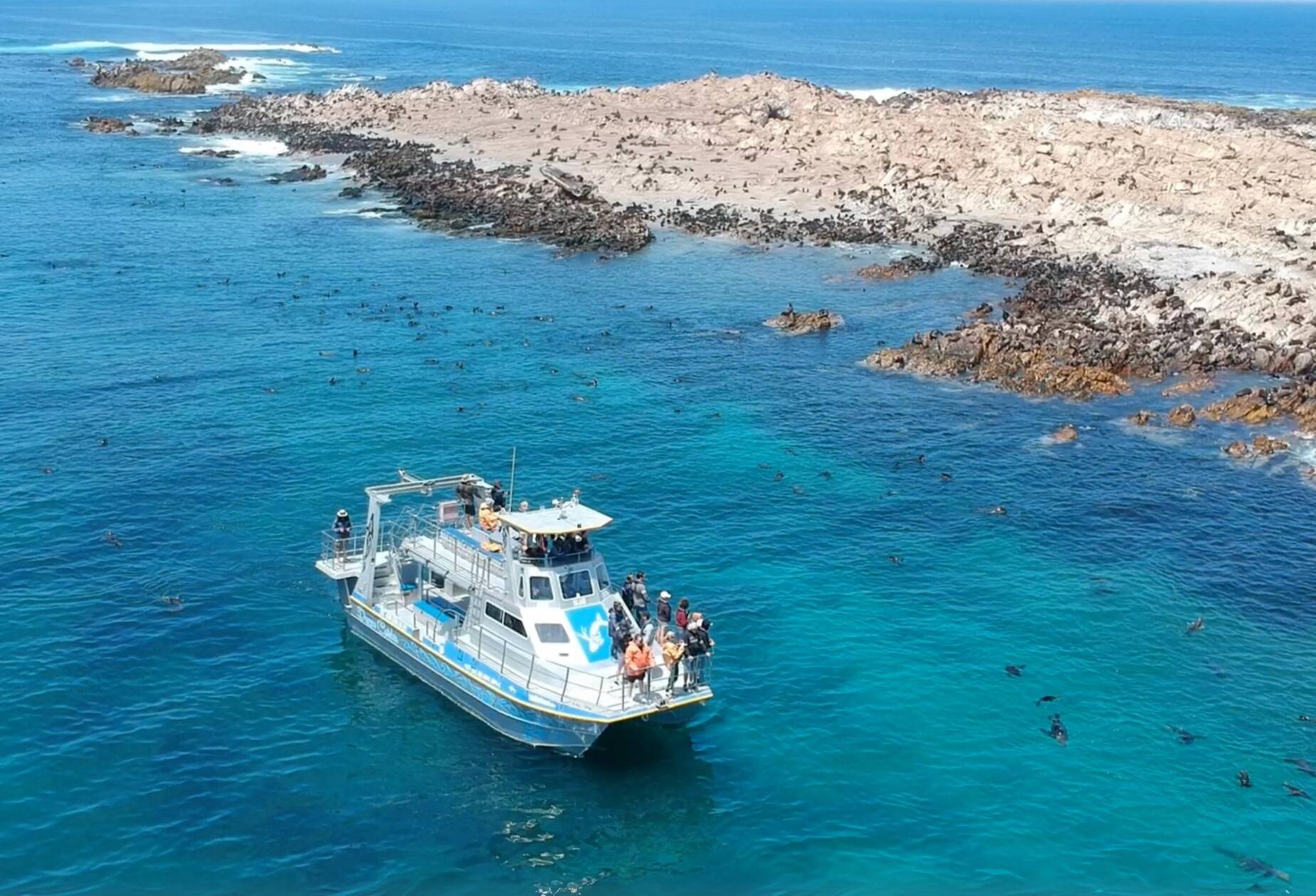 Zuid-Afrika Marina Dynamics Boot