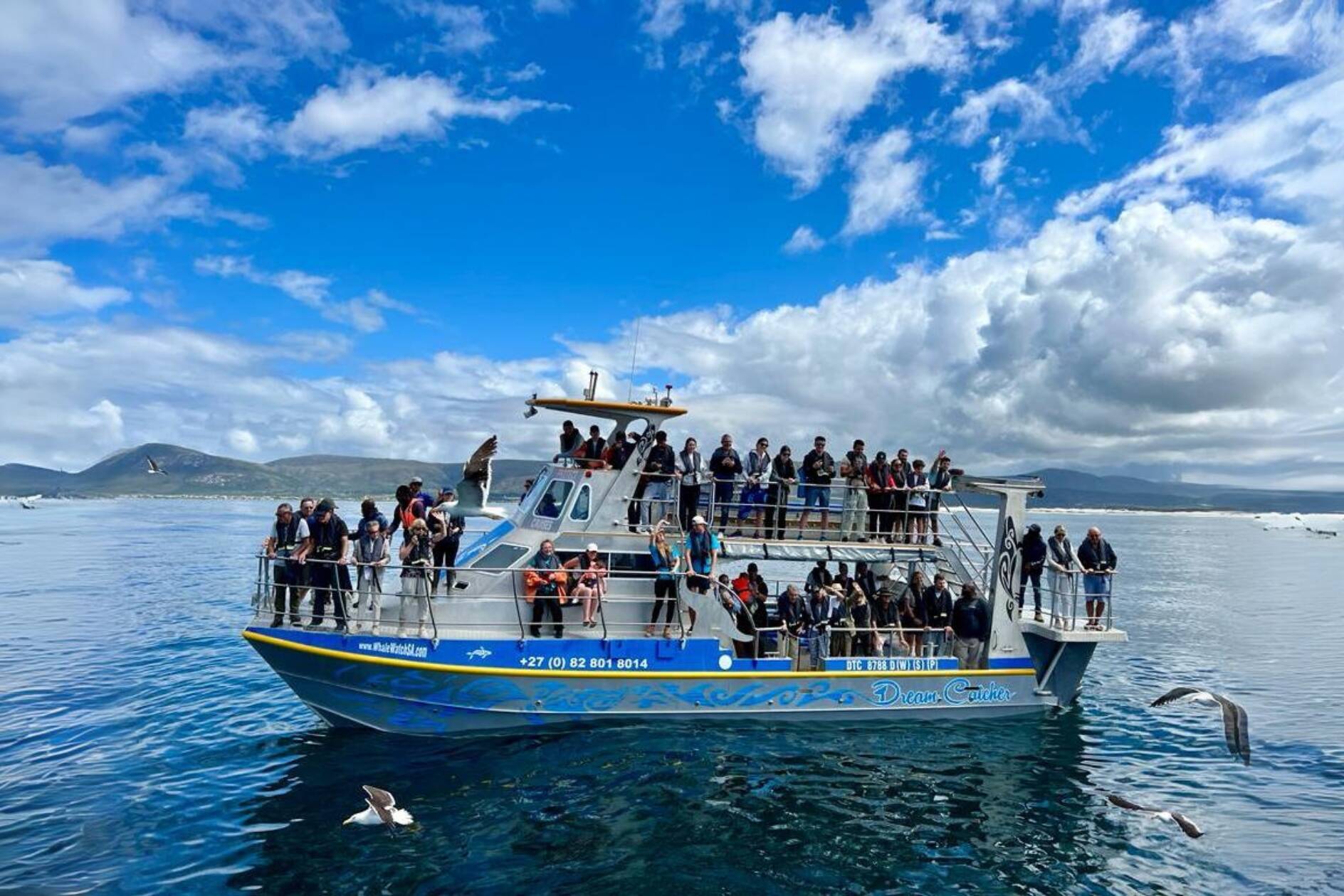 Zuid-Afrika Marine Dynamics Boot