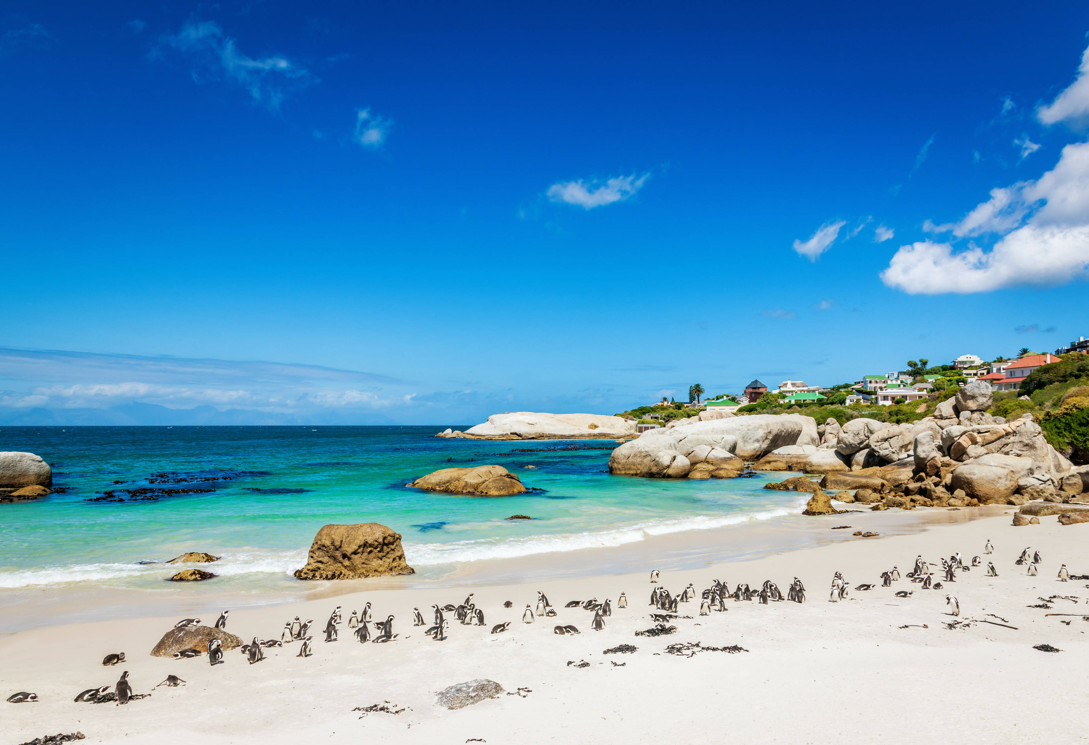 Boulder Beach Kaapstad
