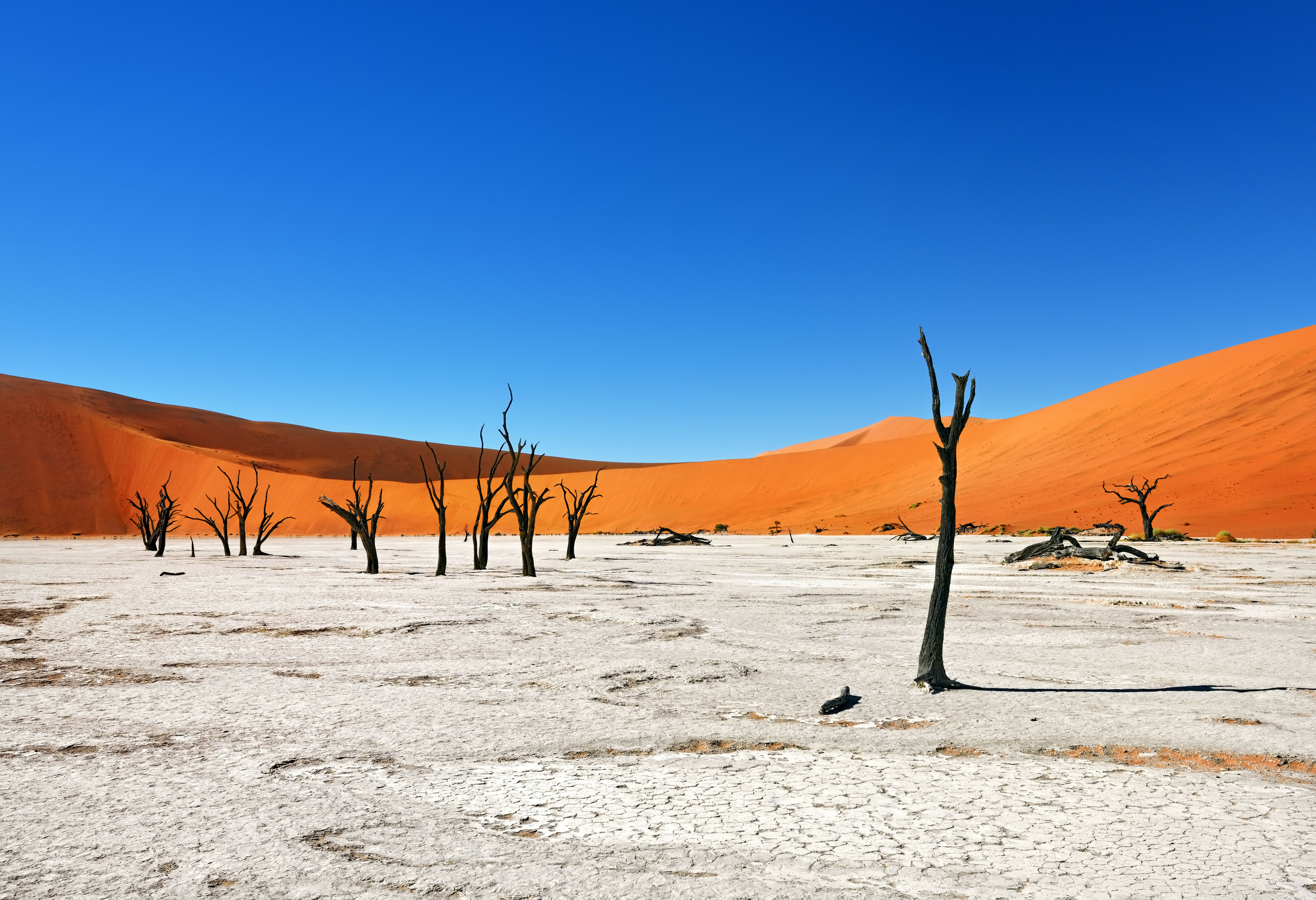 Deadvlei Sossusvlei Namibië