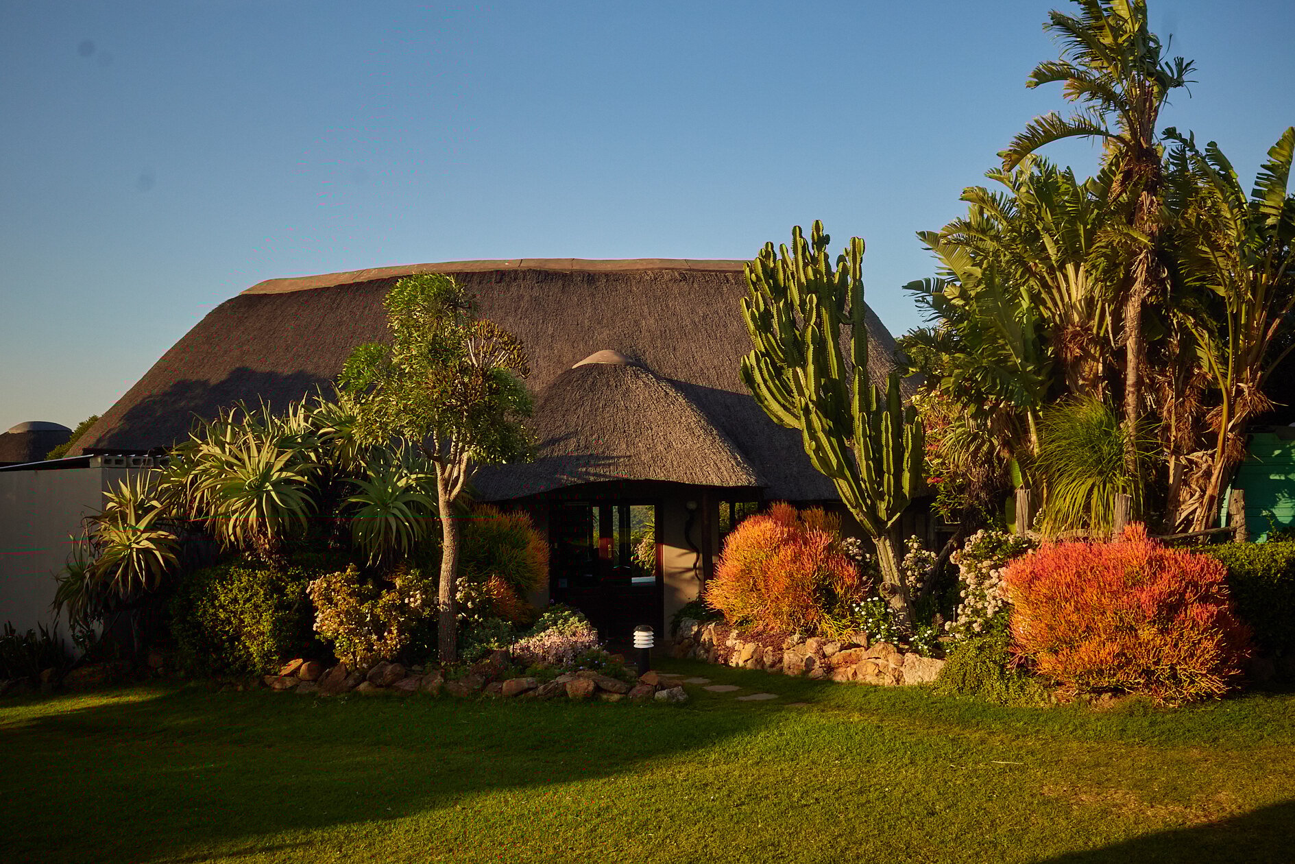 Zuid-Afrika-Elephant-Lodge-Bellevue-Forest-Addo