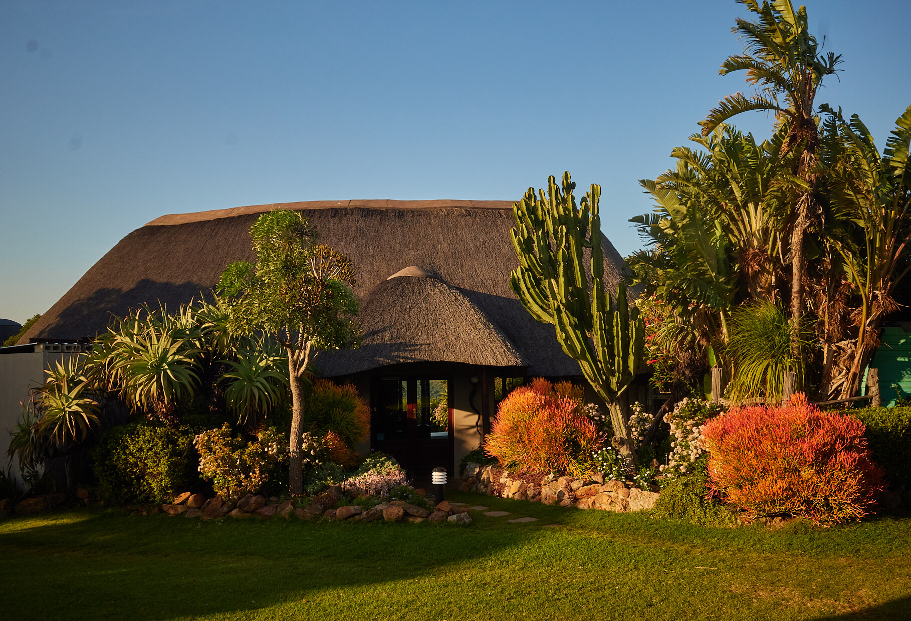 Zuid-Afrika-Elephant-lodge-Bellevue-Forest-Addo