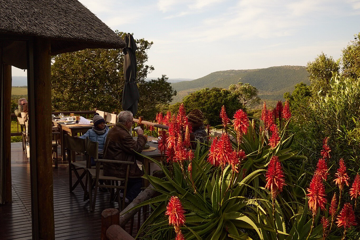 zuid-afrika-elefant-lodge-bellevue-addo