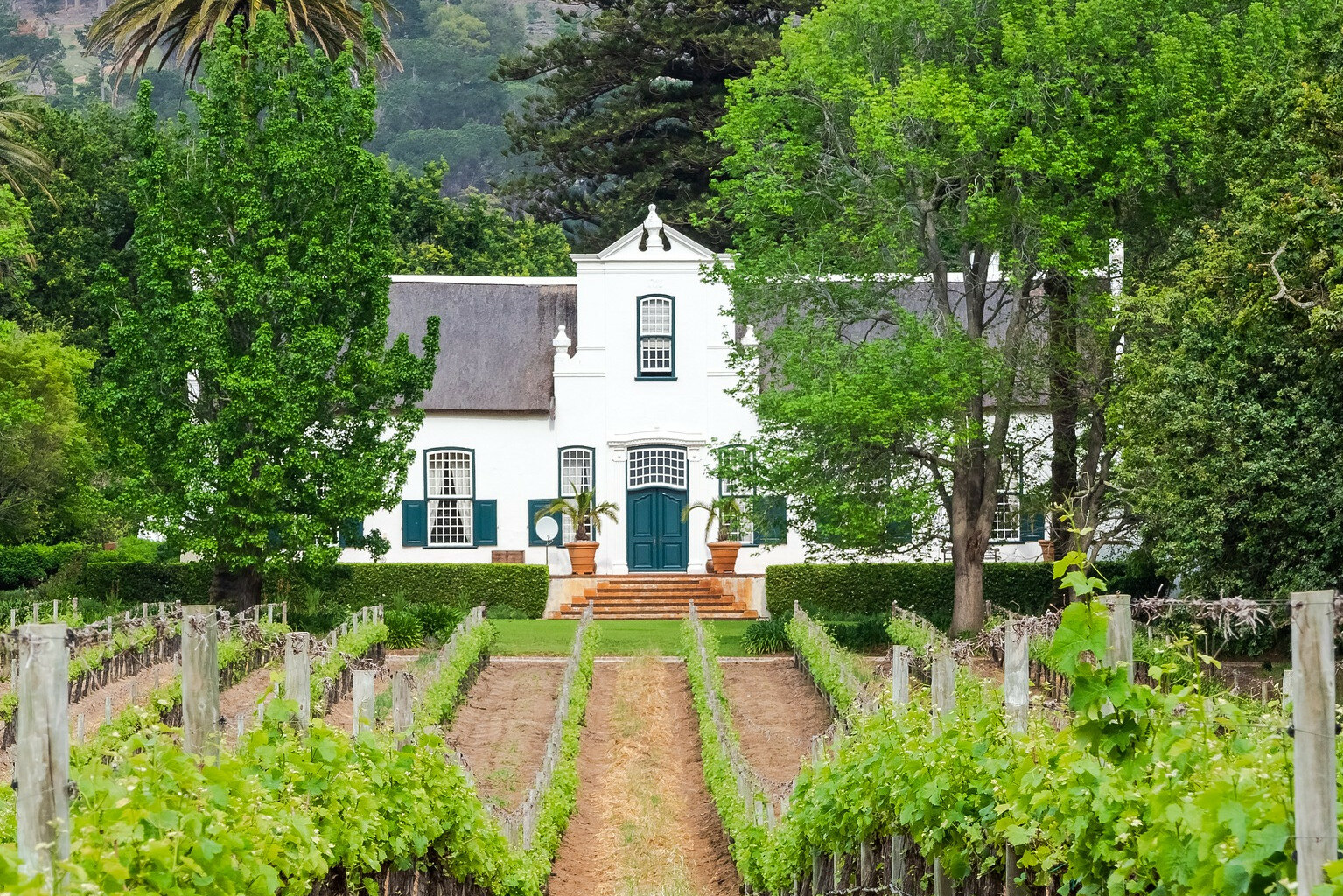 Zijd-Afrika-Stellenbosch-wijnboerderij
