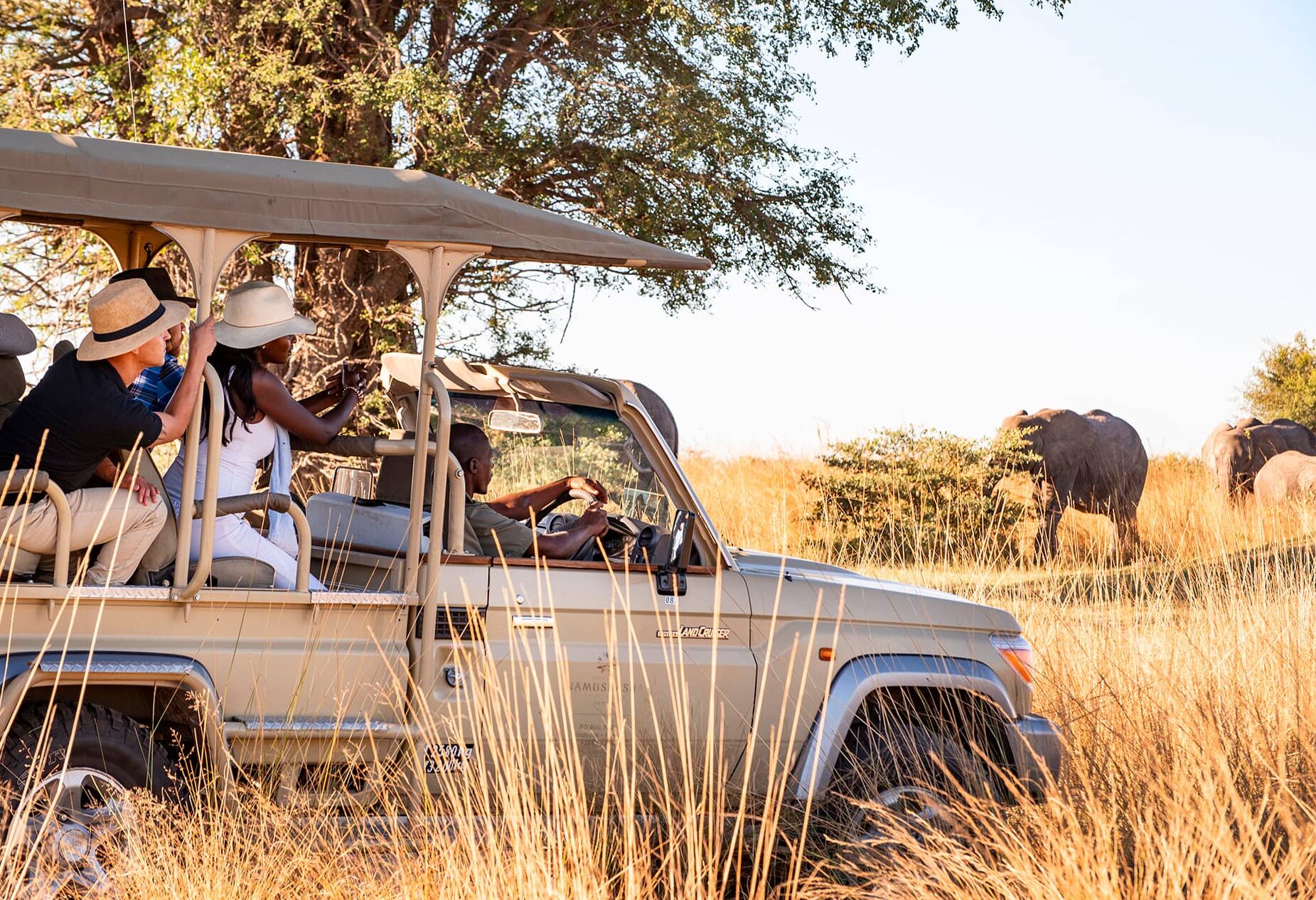 Game Drive Zambazi regio in Namibië