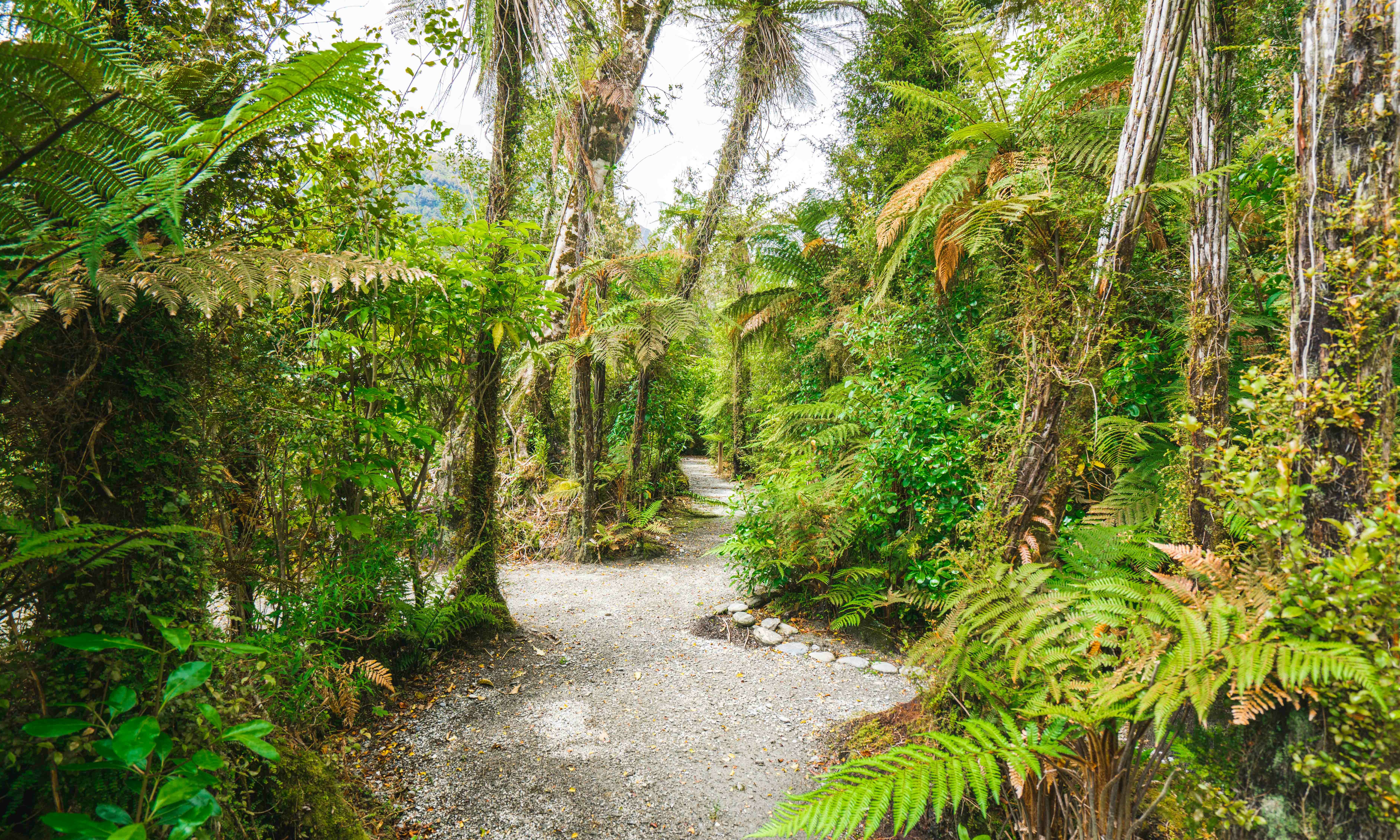 Te Waonui Forest Retreat