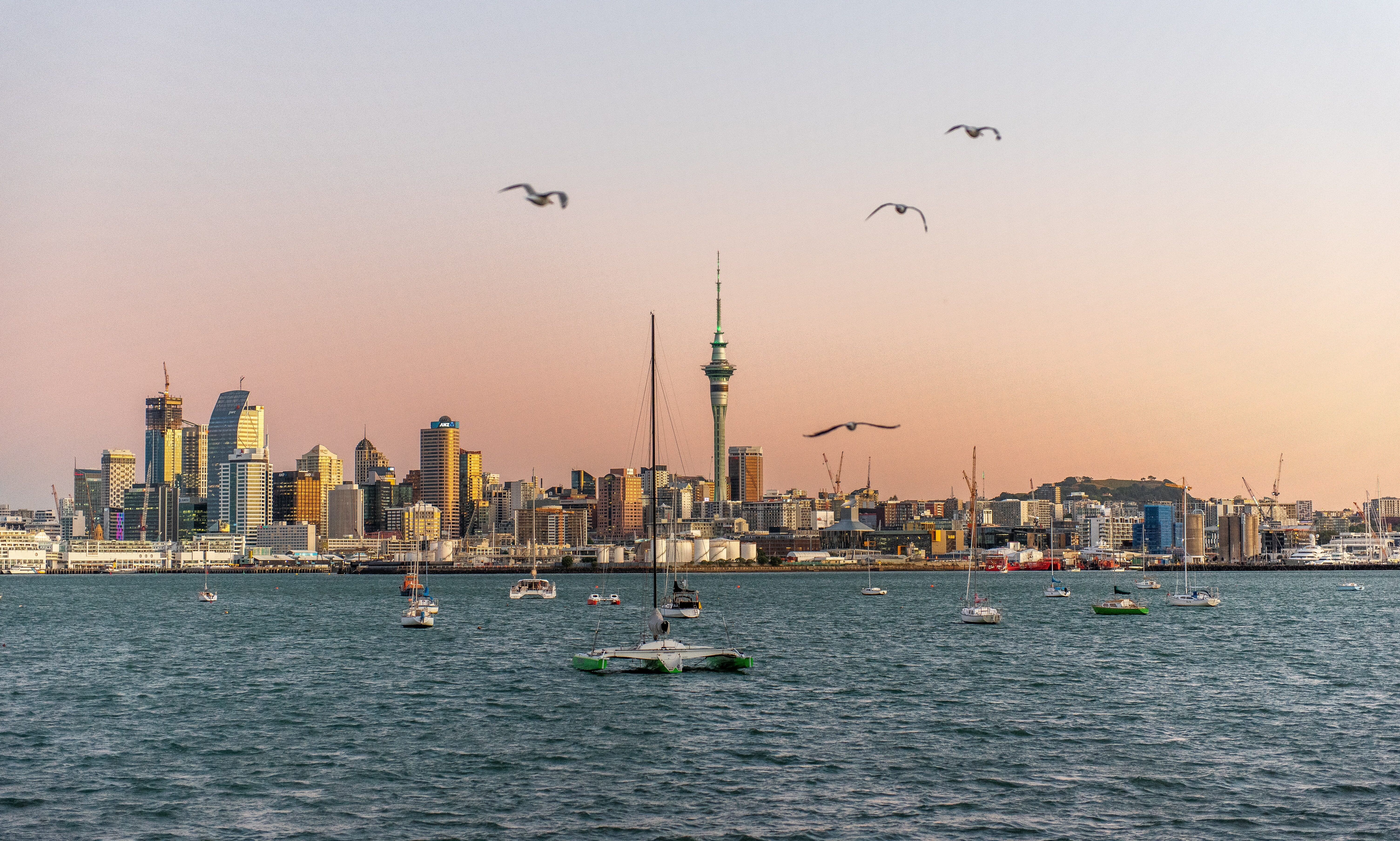 Auckland