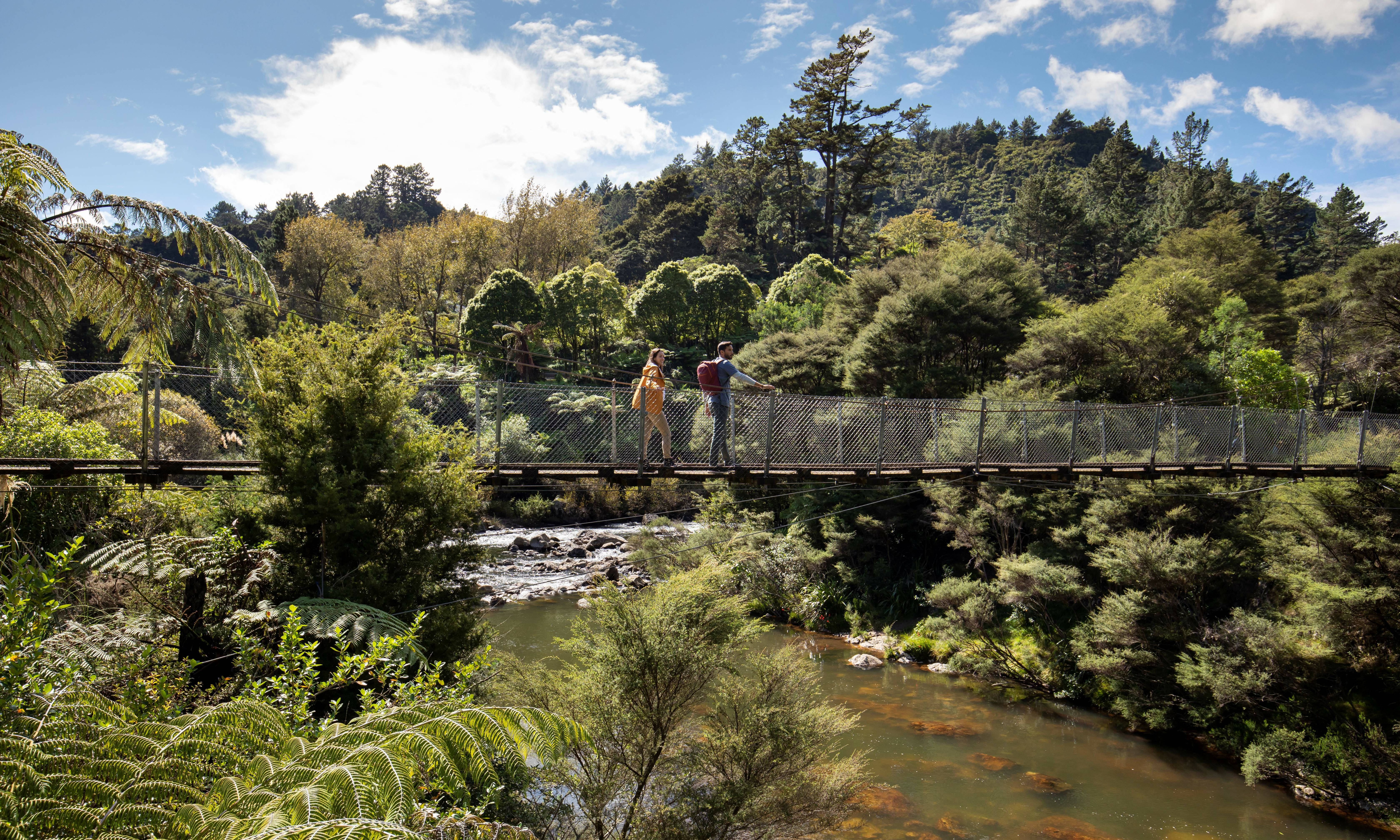 Coromandel