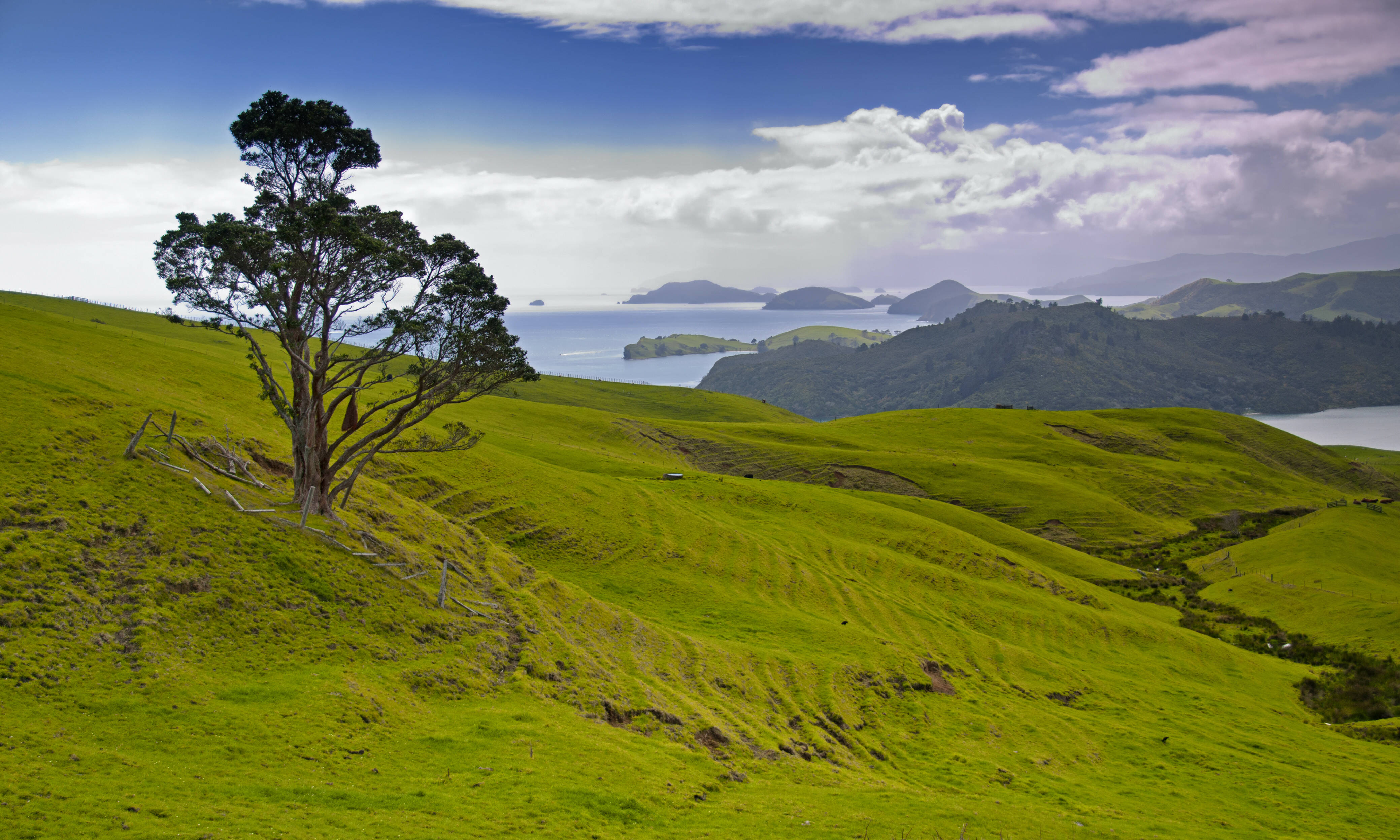 Coromandel