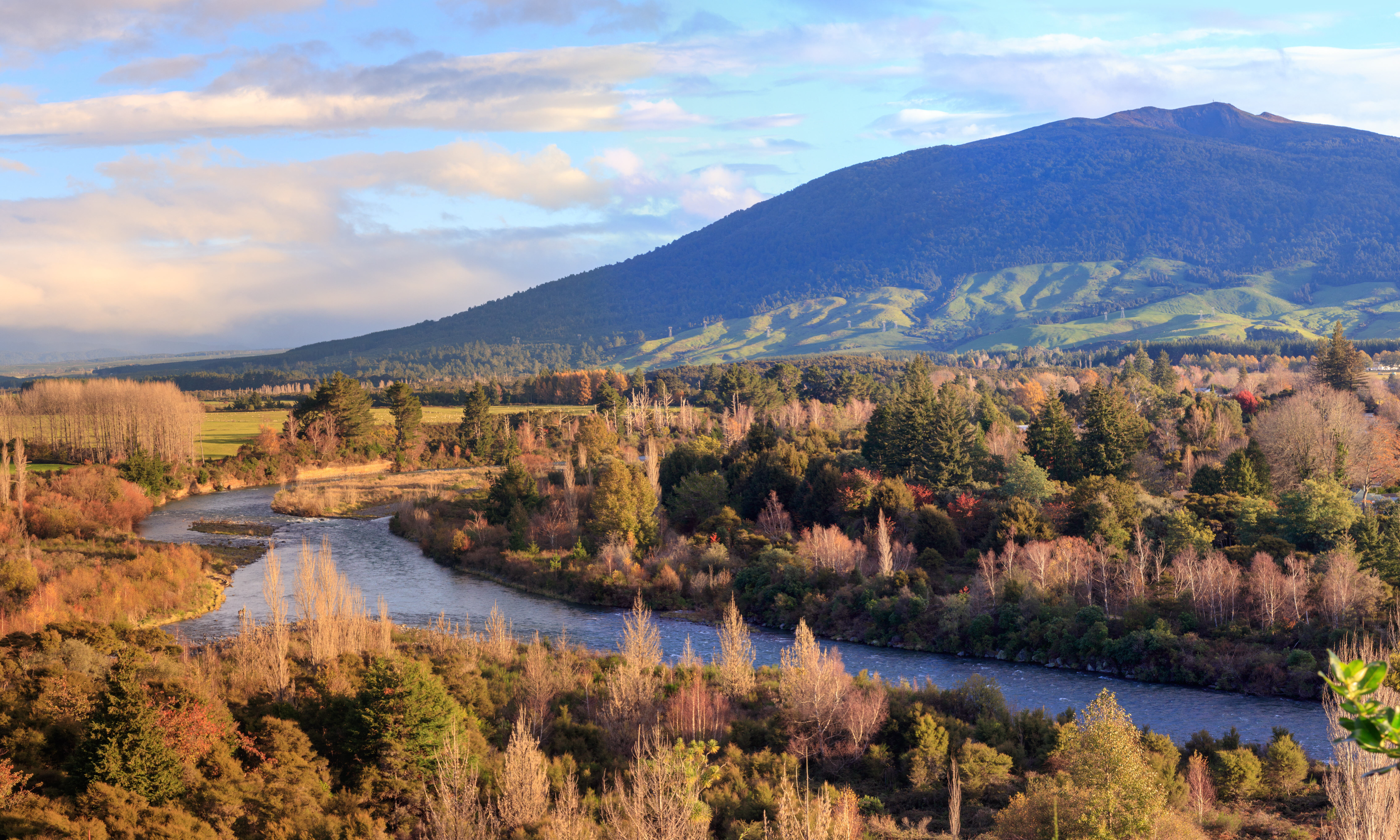 Turangi