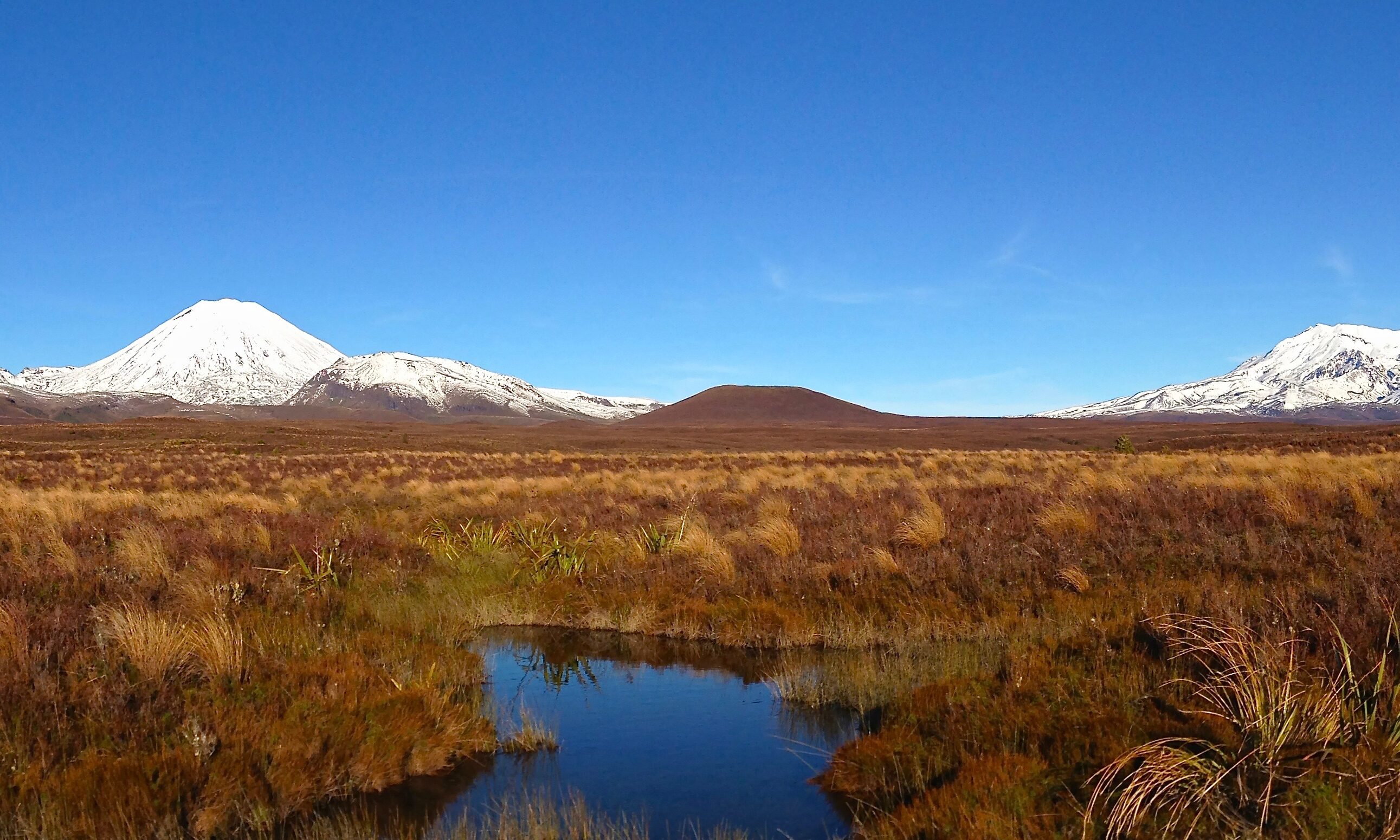 Turangi