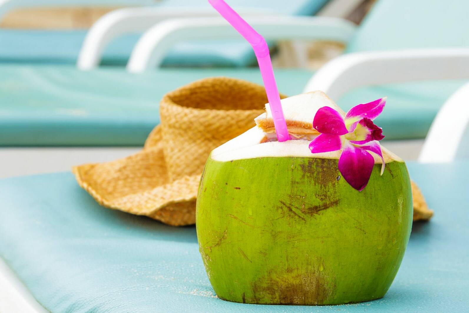 Maleisie Langkawi Rebak Island Resort Kokosnoot