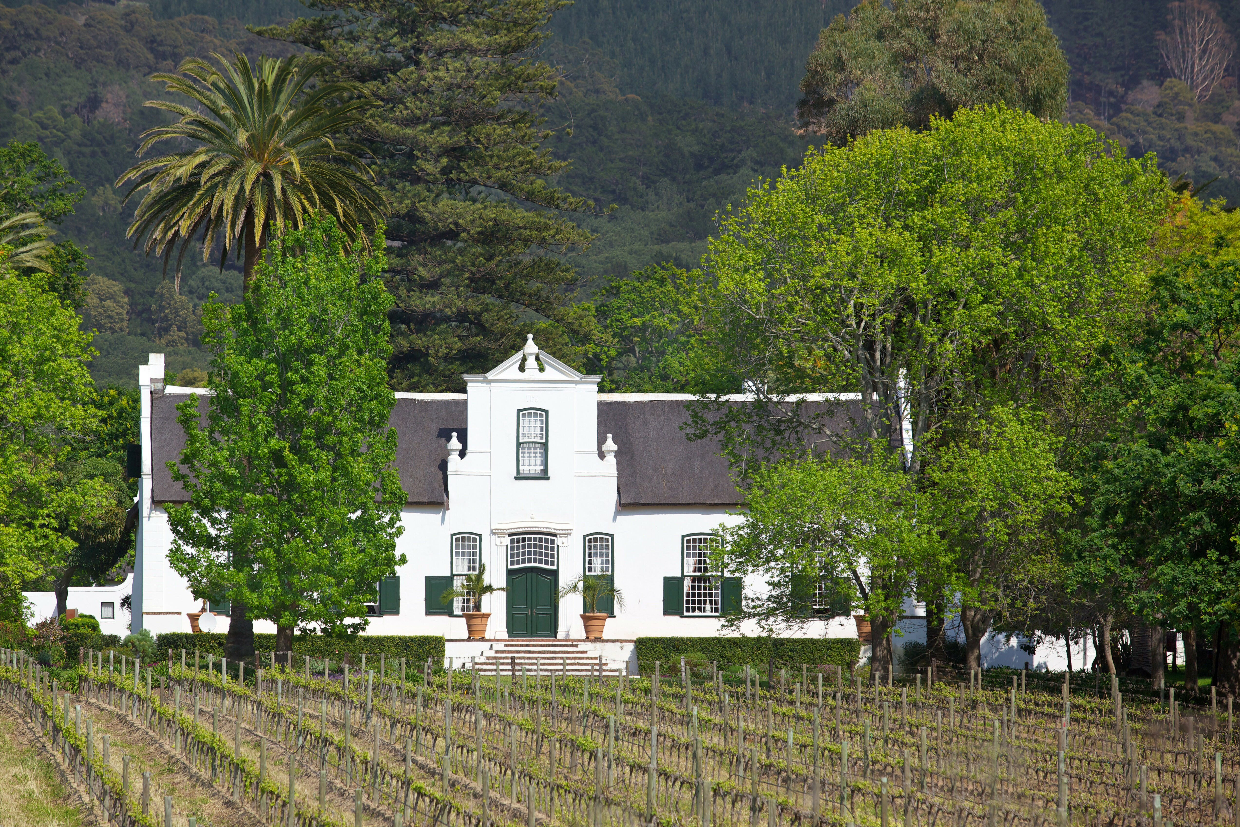 Zuid Afrika Constantia