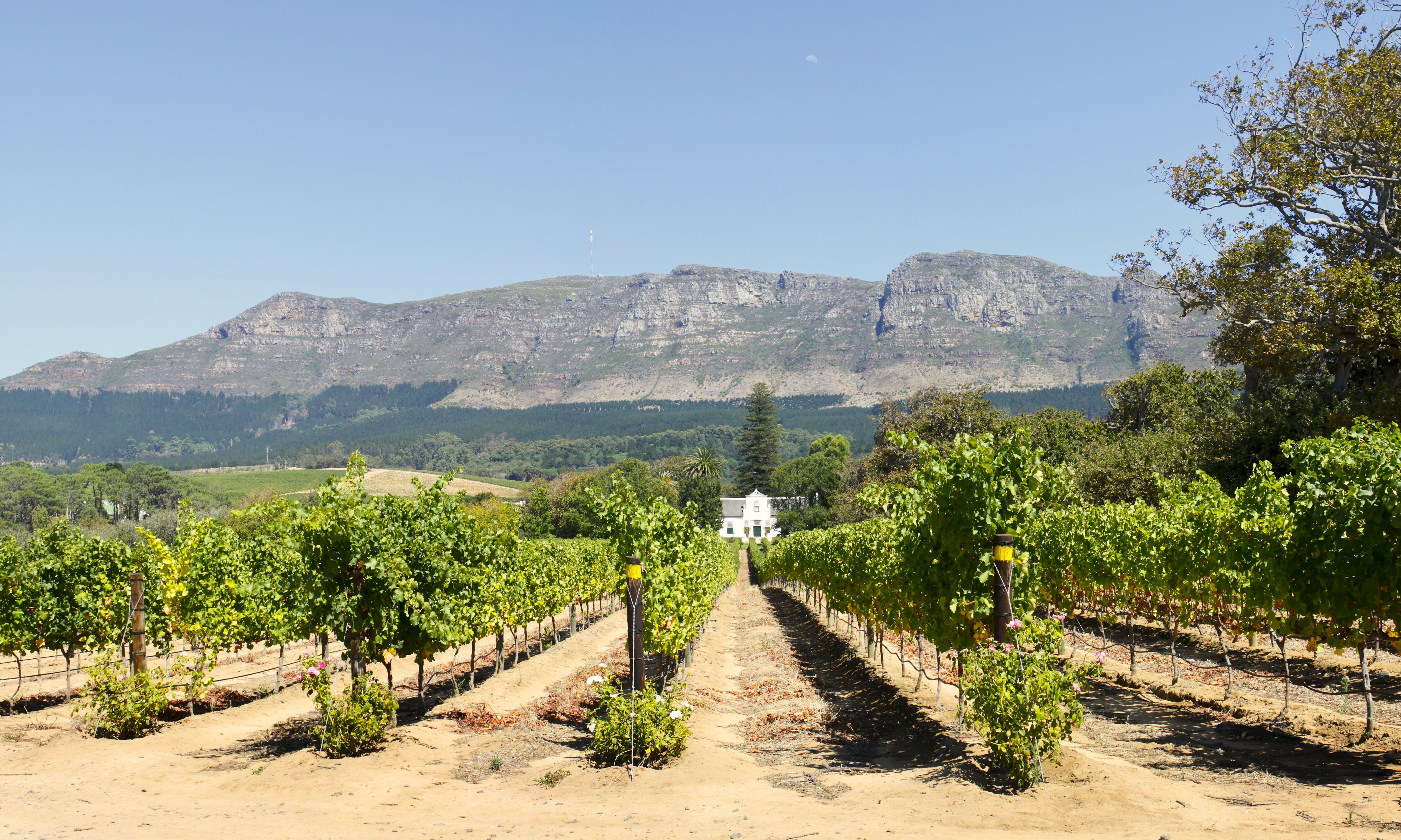 Stellenbosch