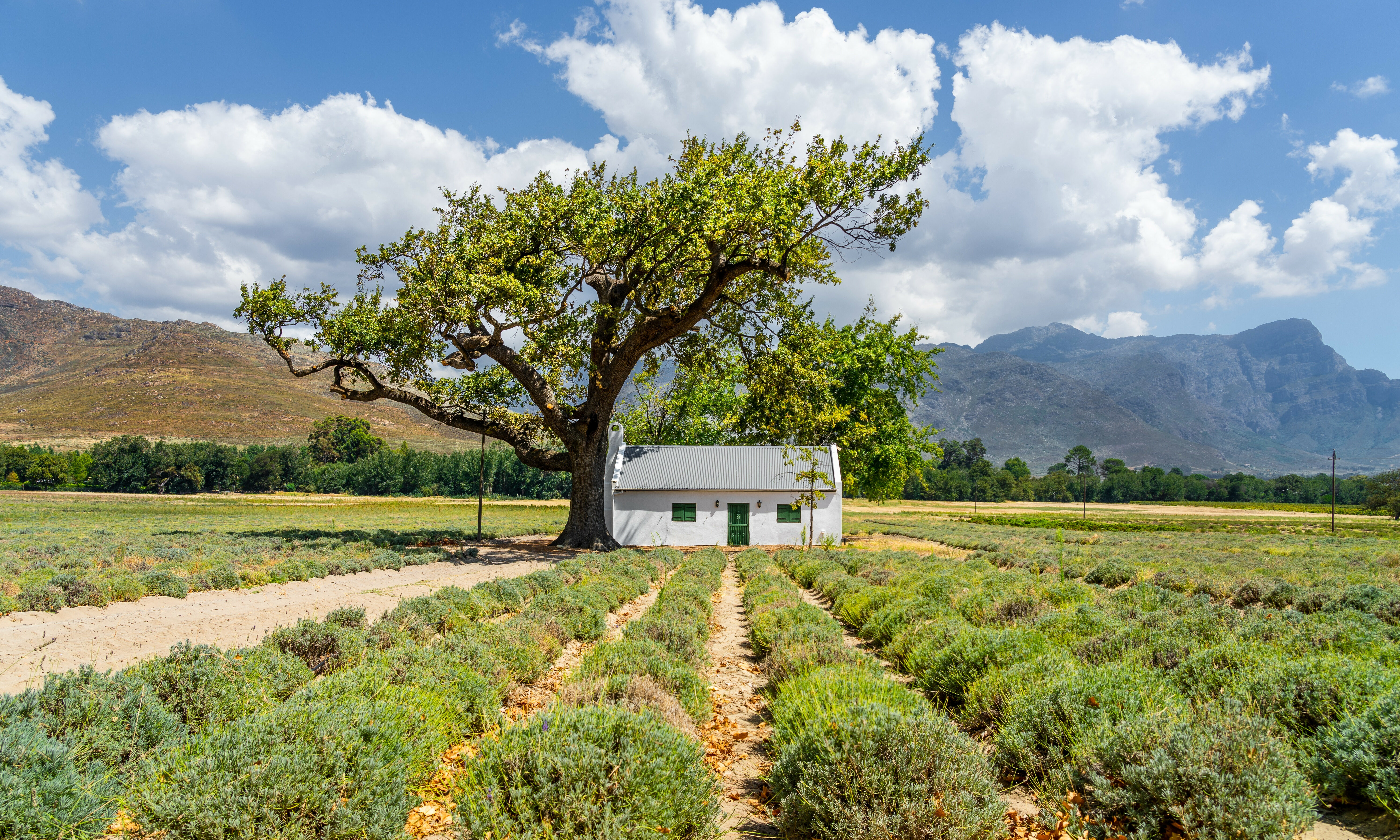 Franschhoek