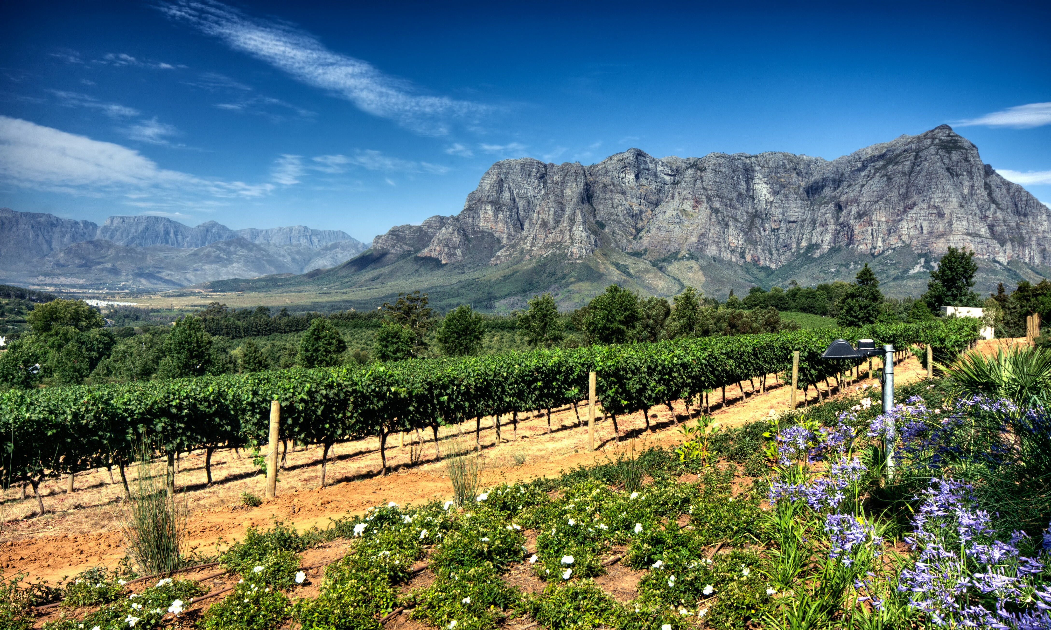 stellenbosch