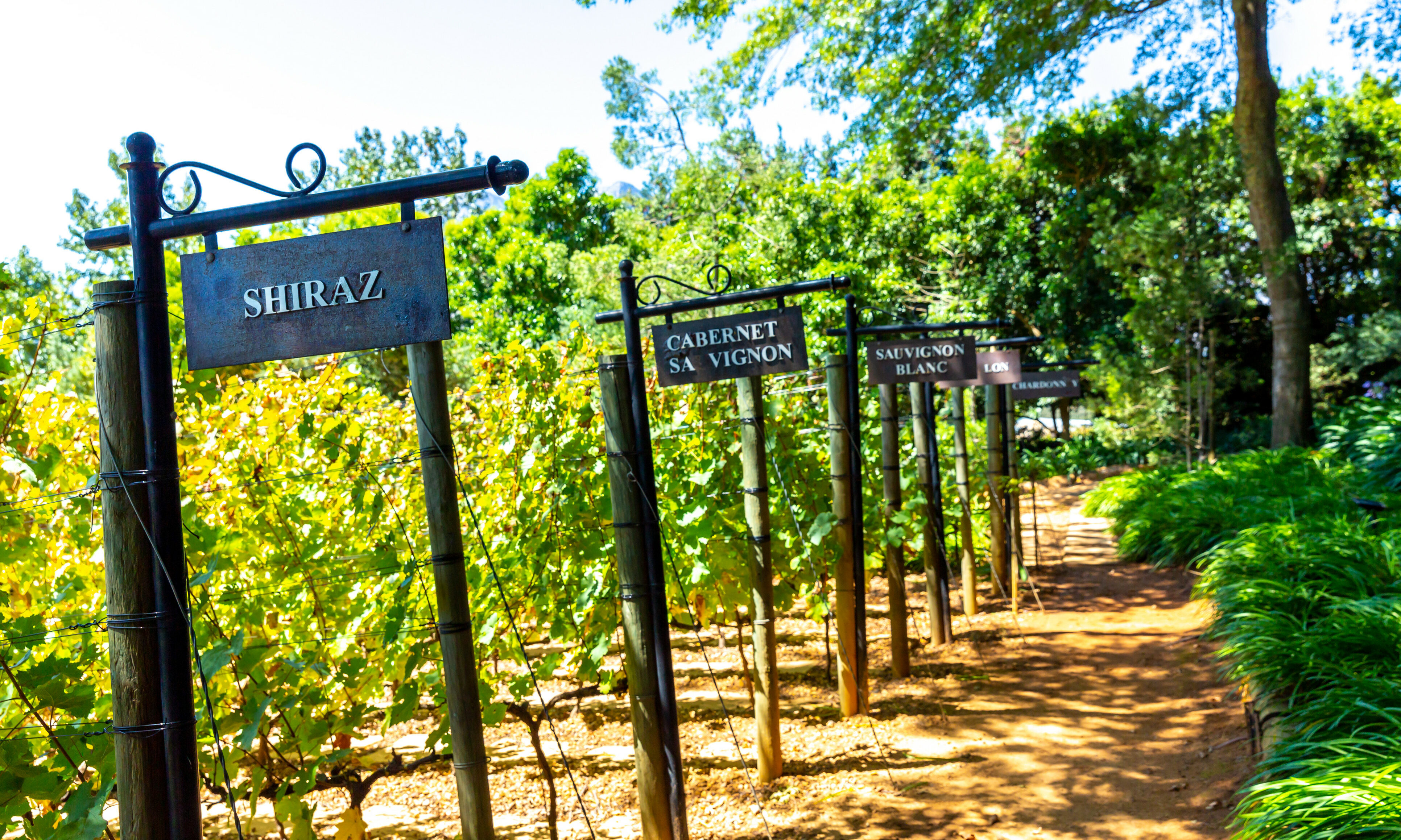 Stellenbosch